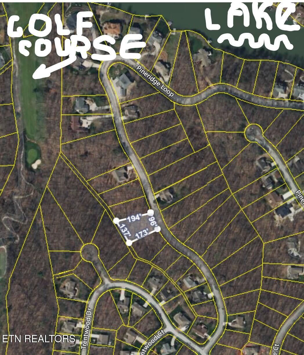 119 Pineridge Loop Fairfield Glade TN 38558