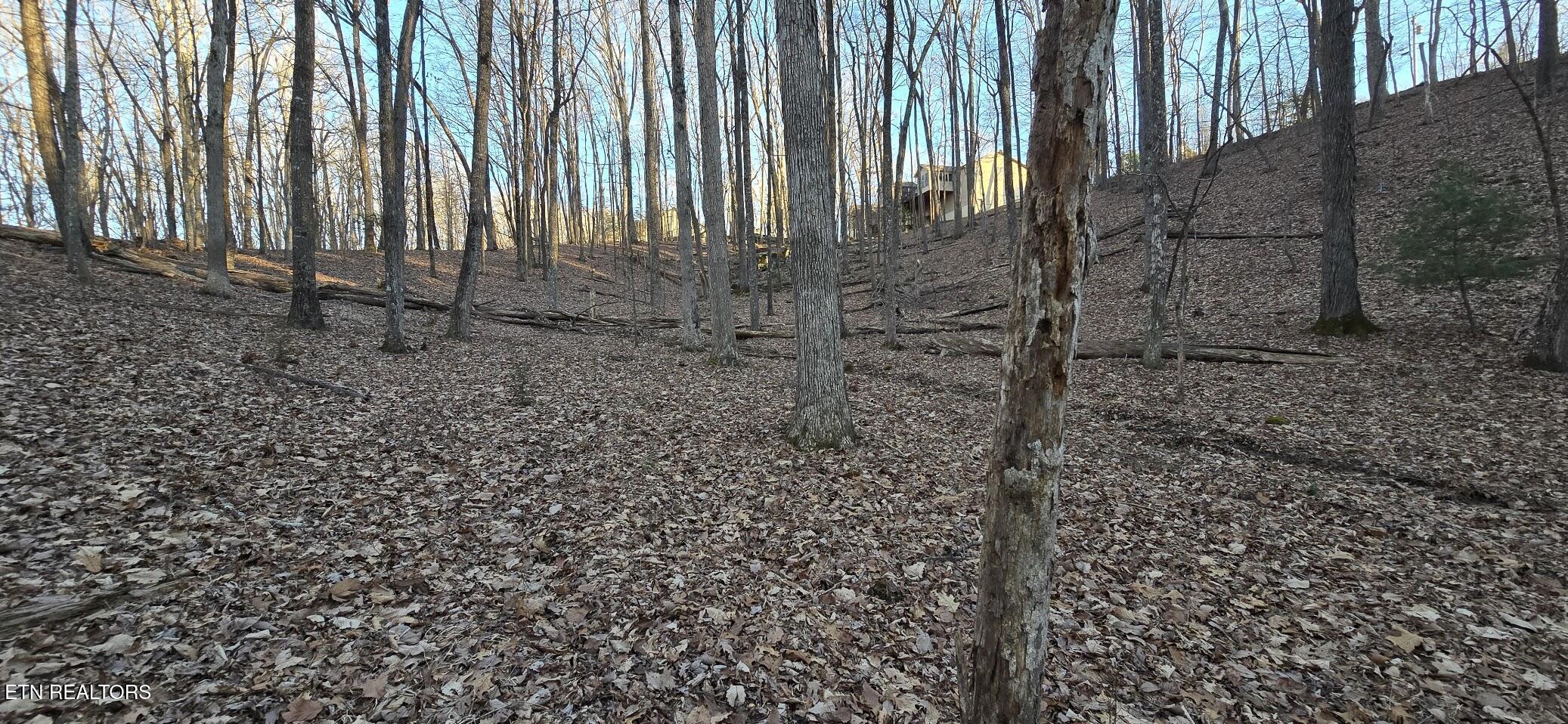 119 Pineridge Loop Fairfield Glade TN 38558
