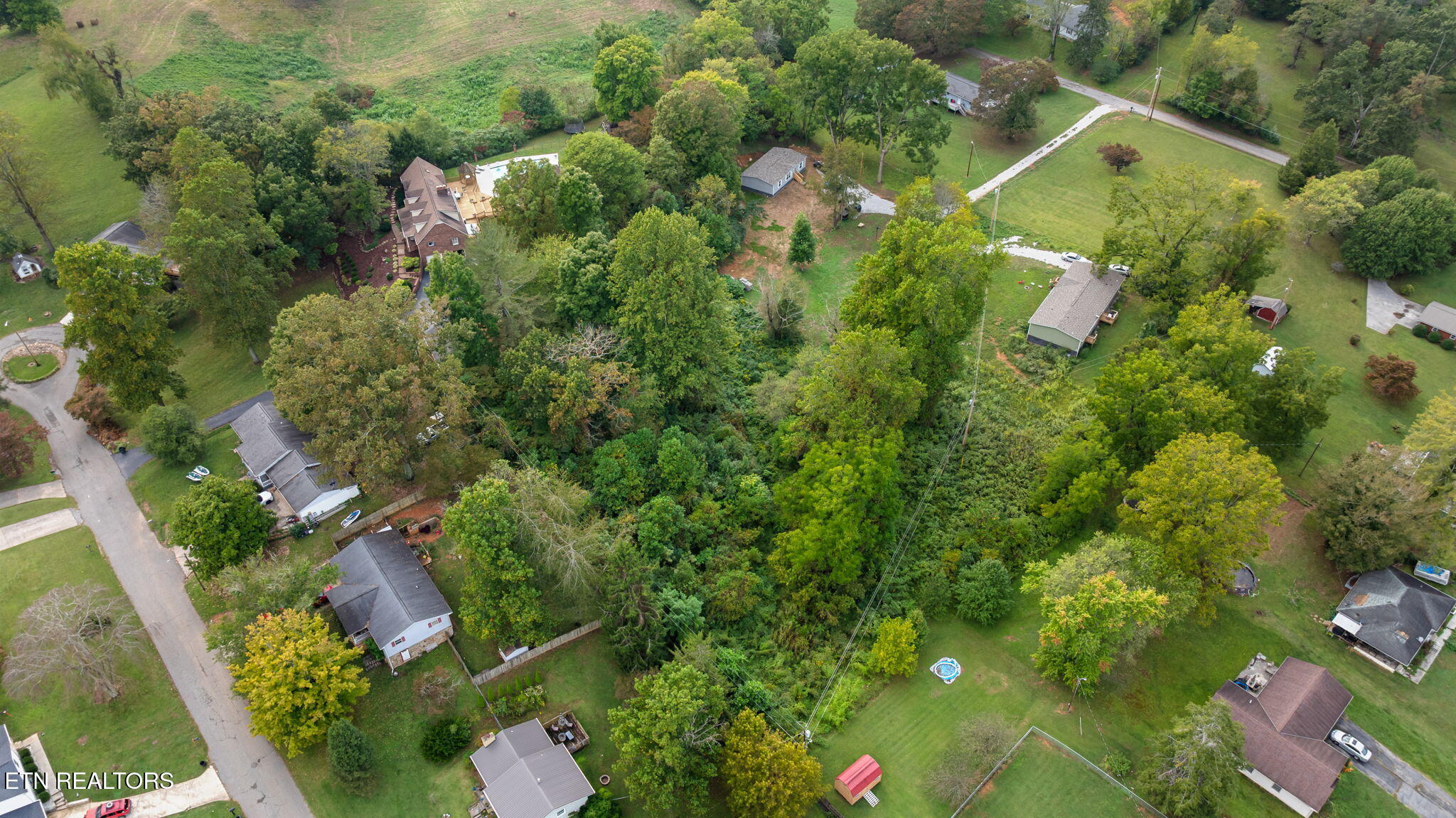 Martha Lee Lane Lafollette TN 37766