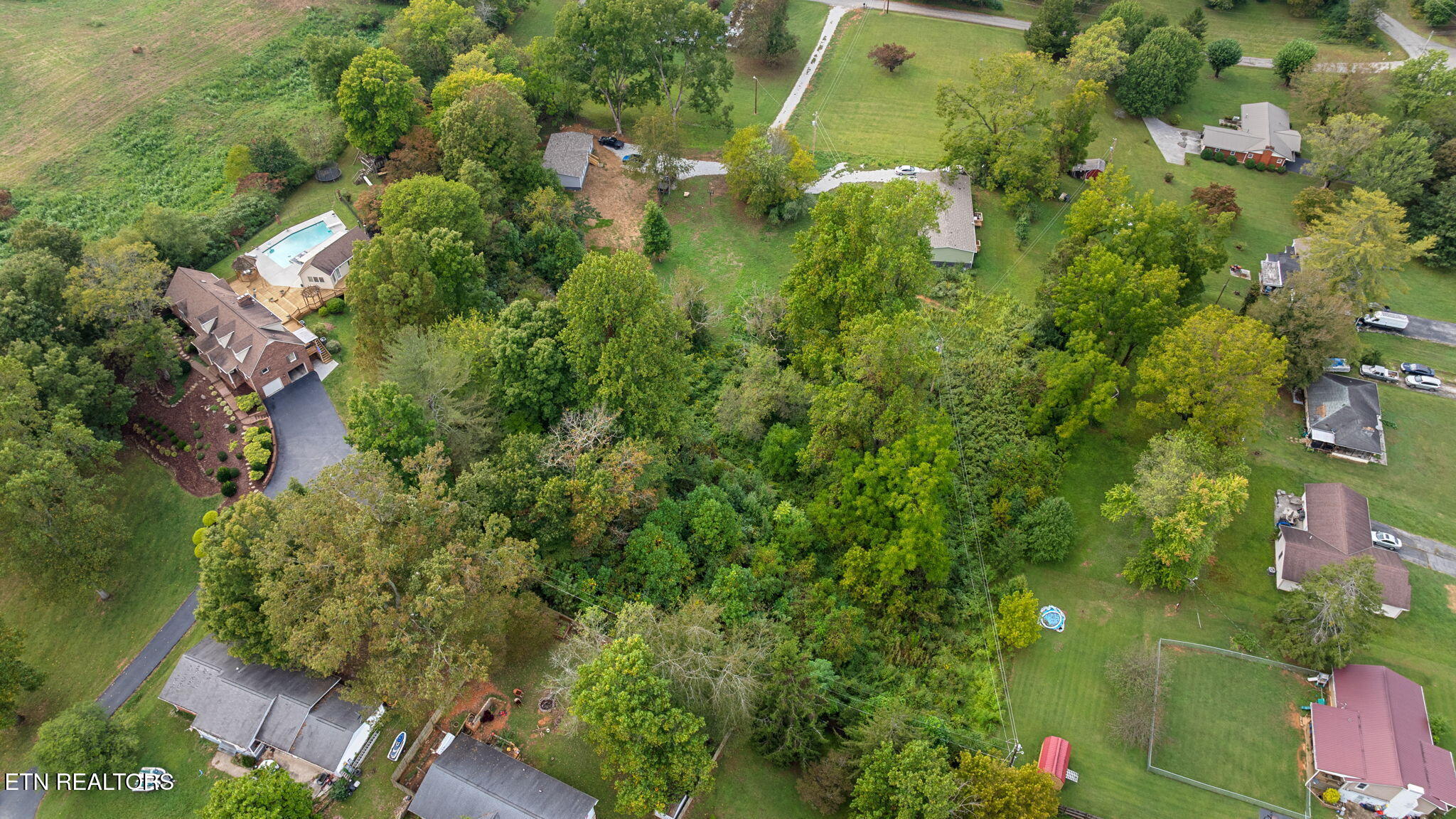 Martha Lee Lane Lafollette TN 37766