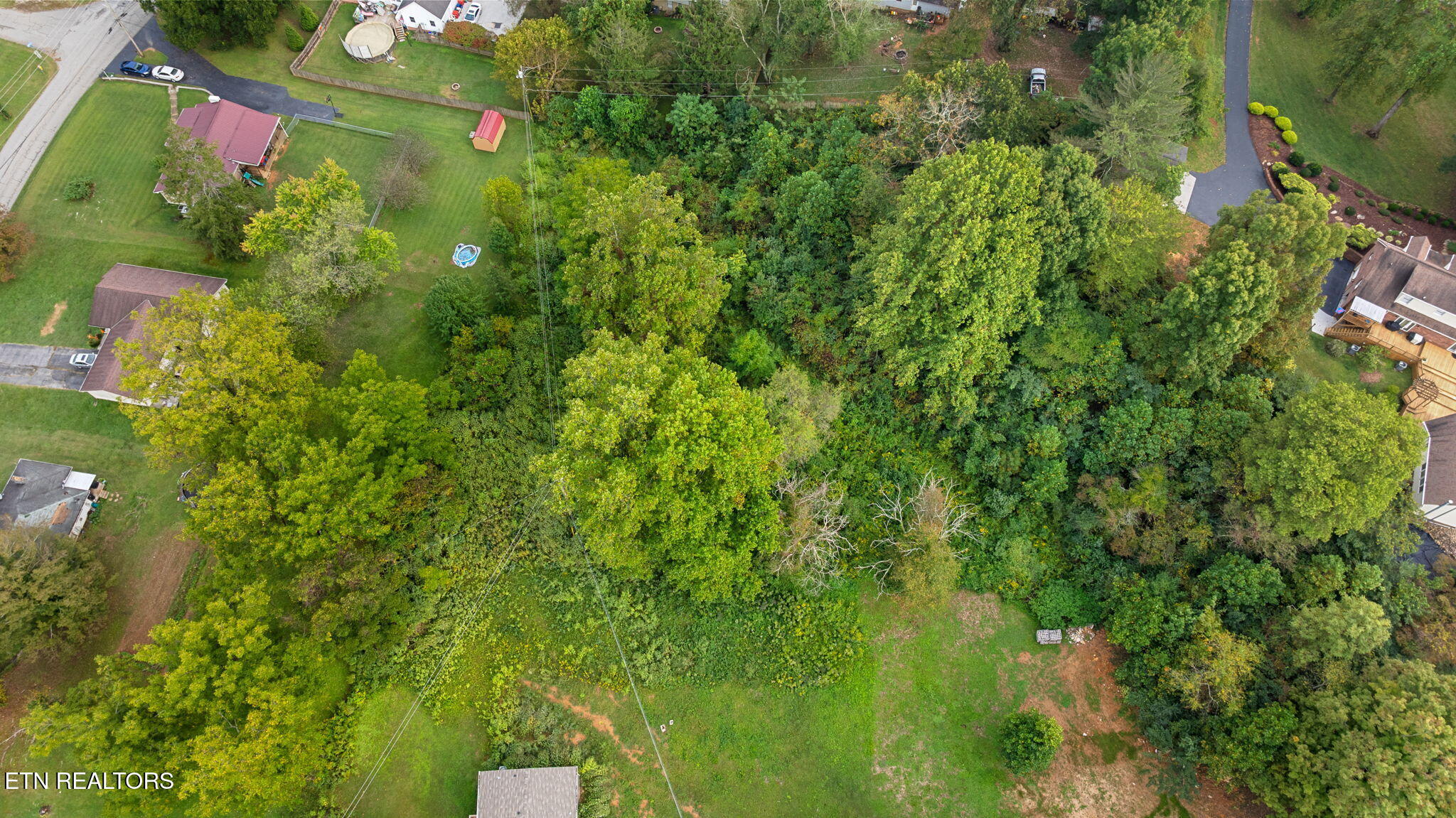 Martha Lee Lane Lafollette TN 37766