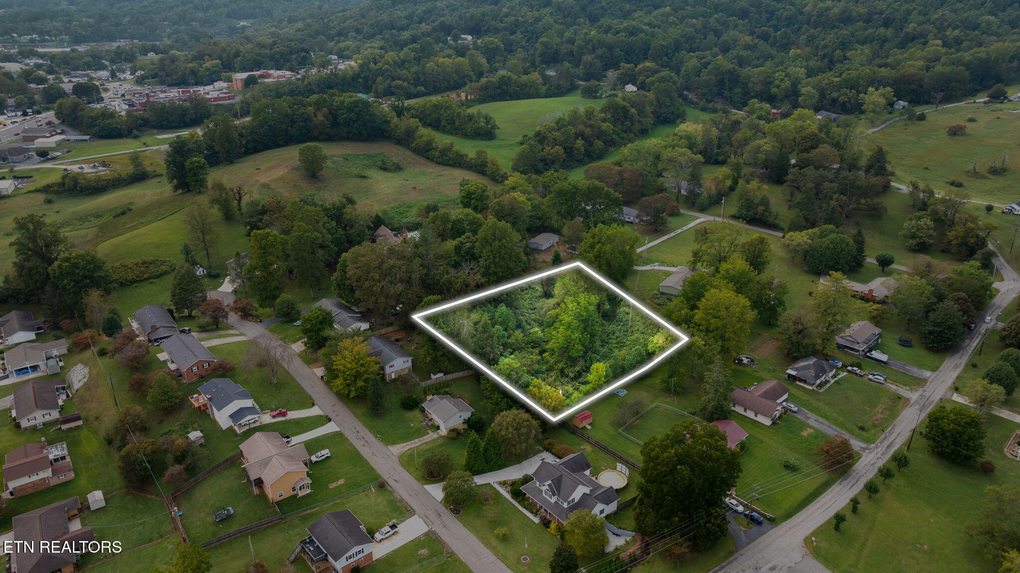 Martha Lee Lane Lafollette TN 37766