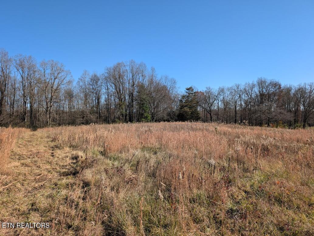 3.99 Ac Bob Austin Road Crossville TN 38571