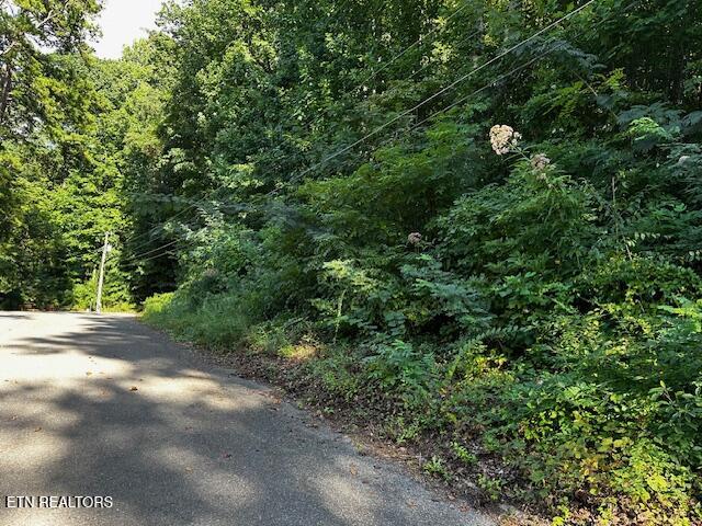 0 Cochise Drive Knoxville TN 37918