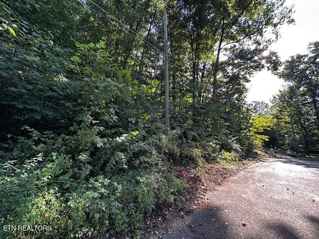 0 Cochise Drive Knoxville TN 37918