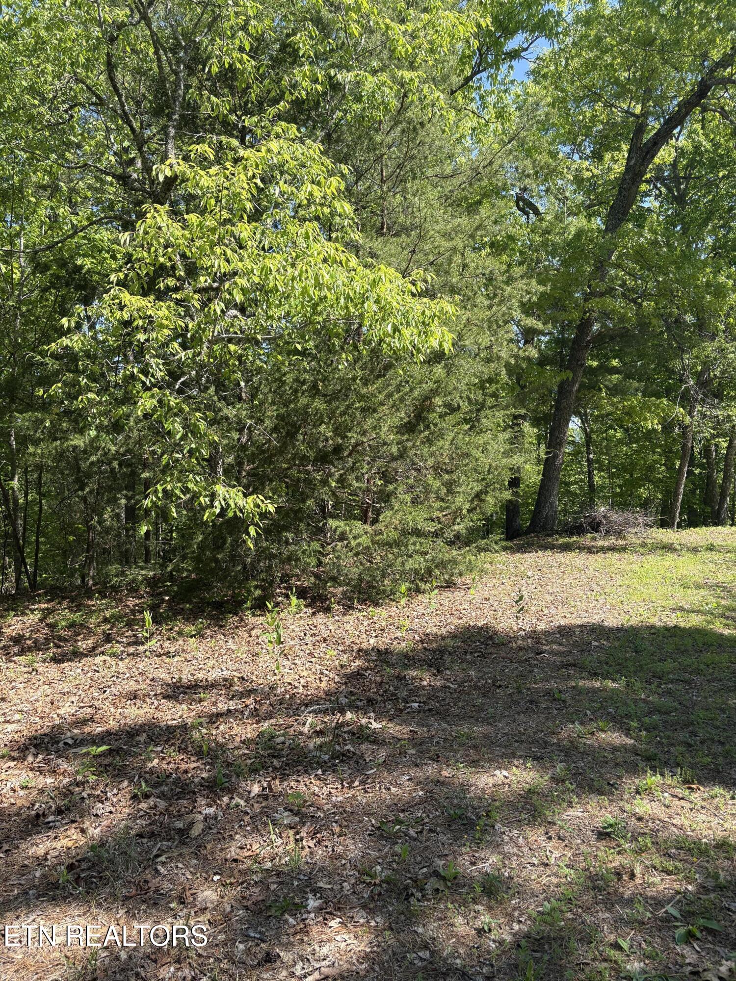 261 Mountain Retreat Road Townsend TN 37882