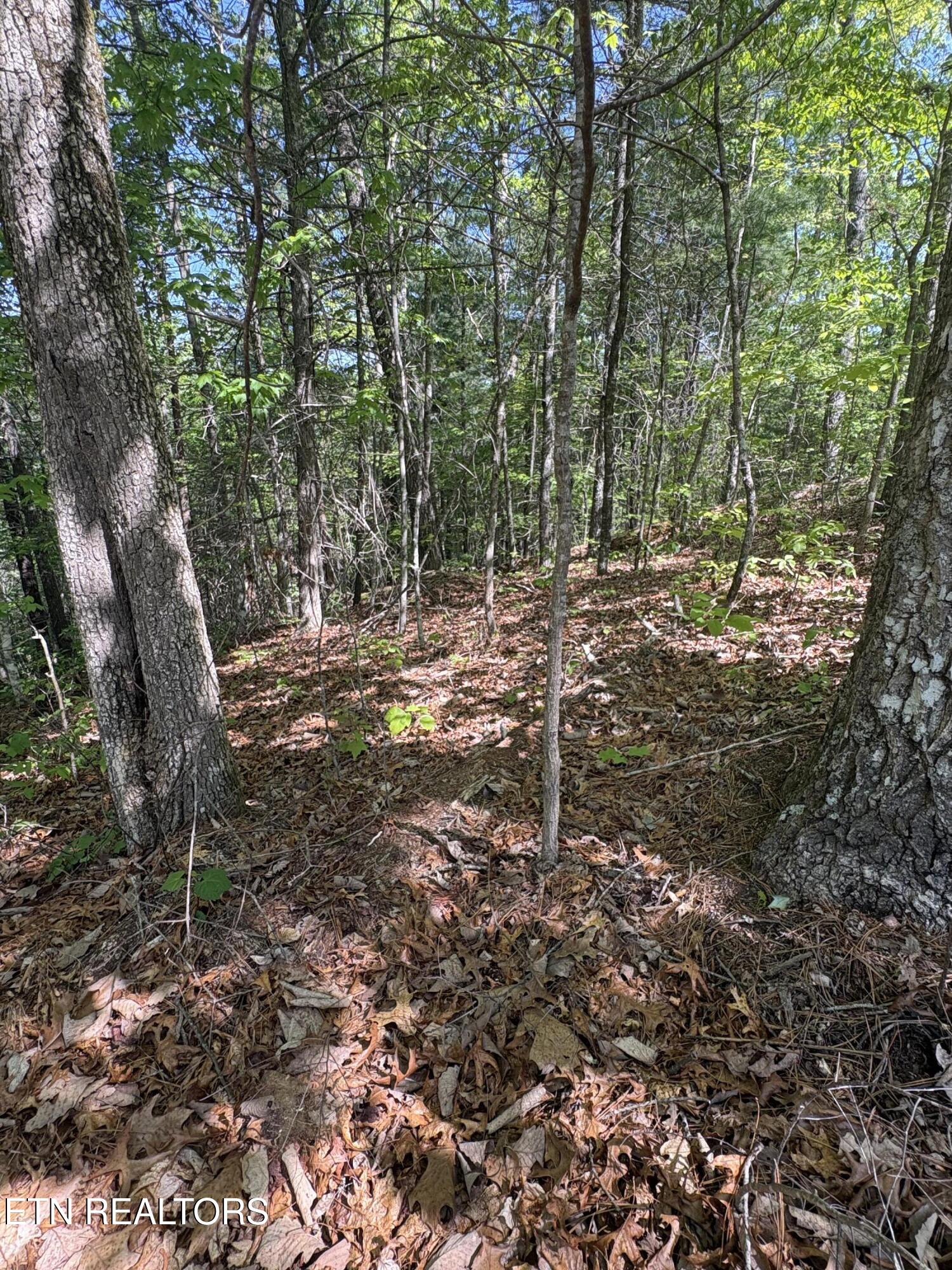 261 Mountain Retreat Road Townsend TN 37882