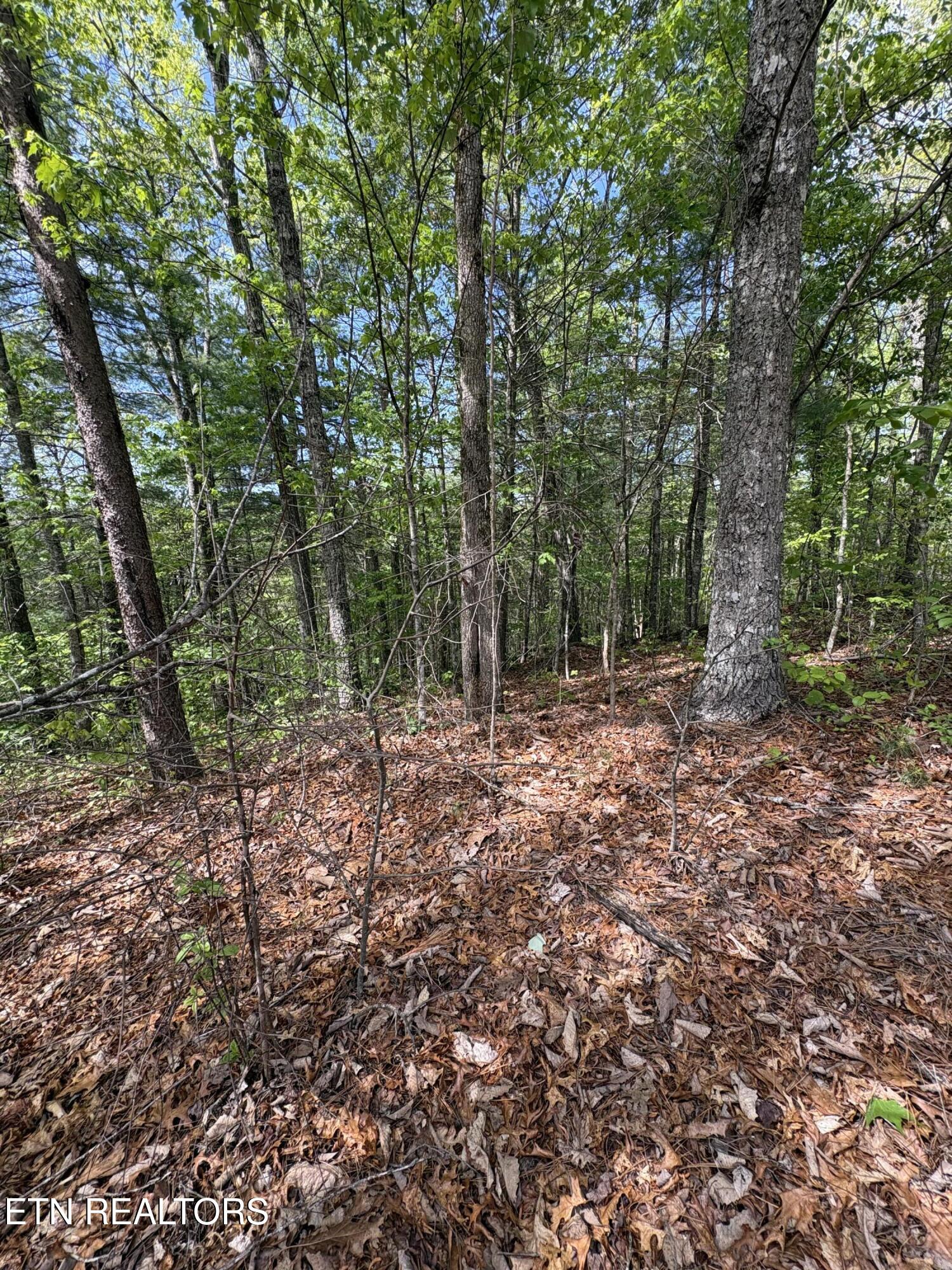 261 Mountain Retreat Road Townsend TN 37882