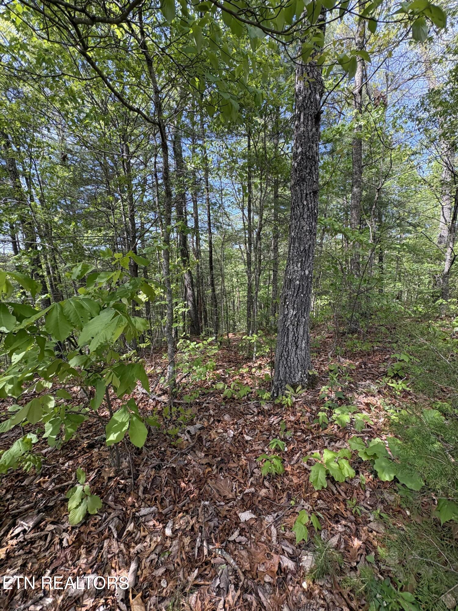 261 Mountain Retreat Road Townsend TN 37882