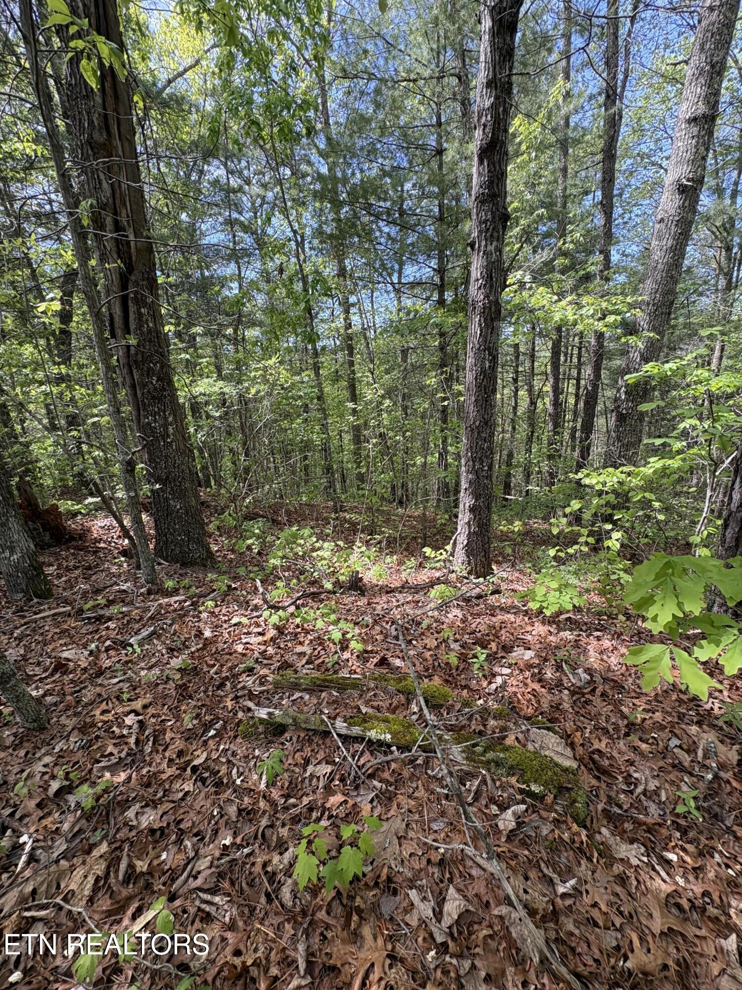 261 Mountain Retreat Road Townsend TN 37882