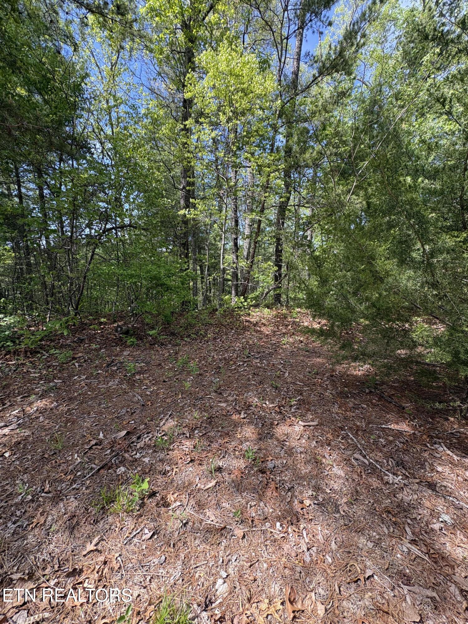 261 Mountain Retreat Road Townsend TN 37882