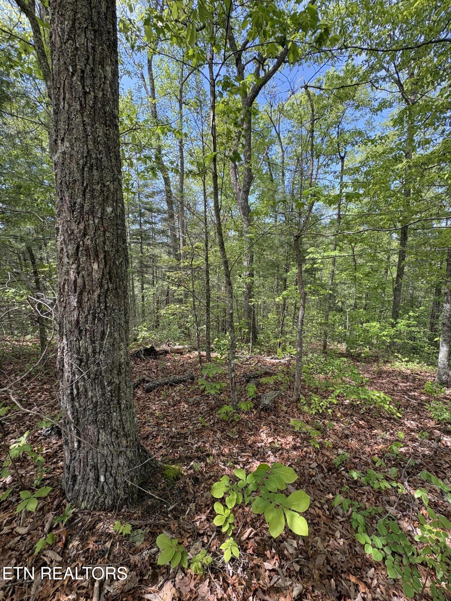 261 Mountain Retreat Road Townsend TN 37882