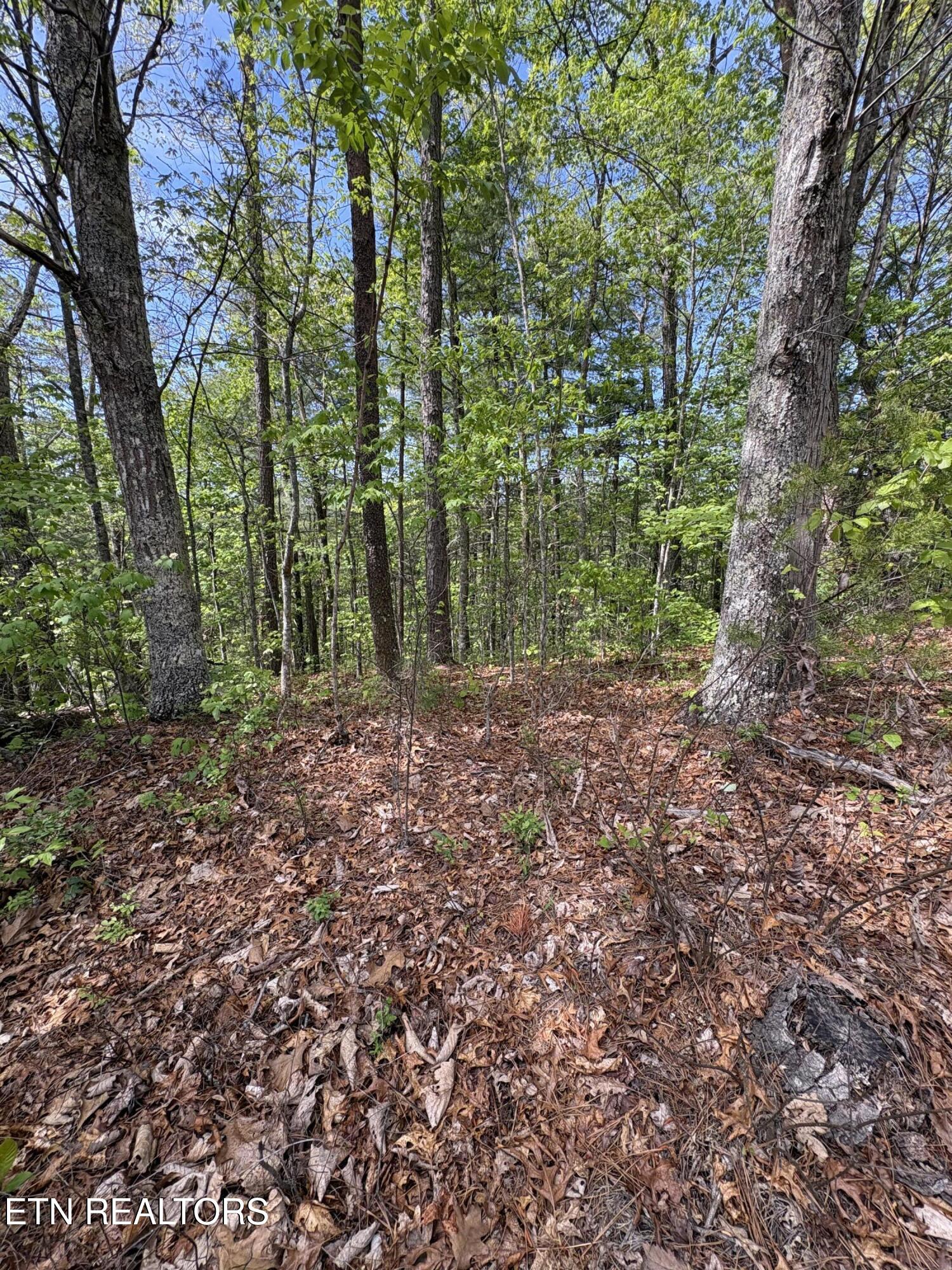 261 Mountain Retreat Road Townsend TN 37882