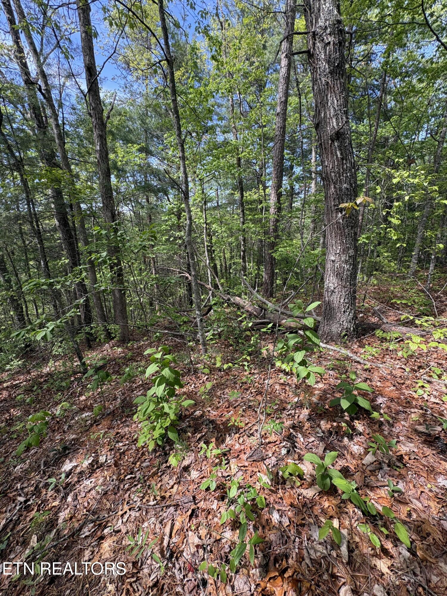 261 Mountain Retreat Road Townsend TN 37882
