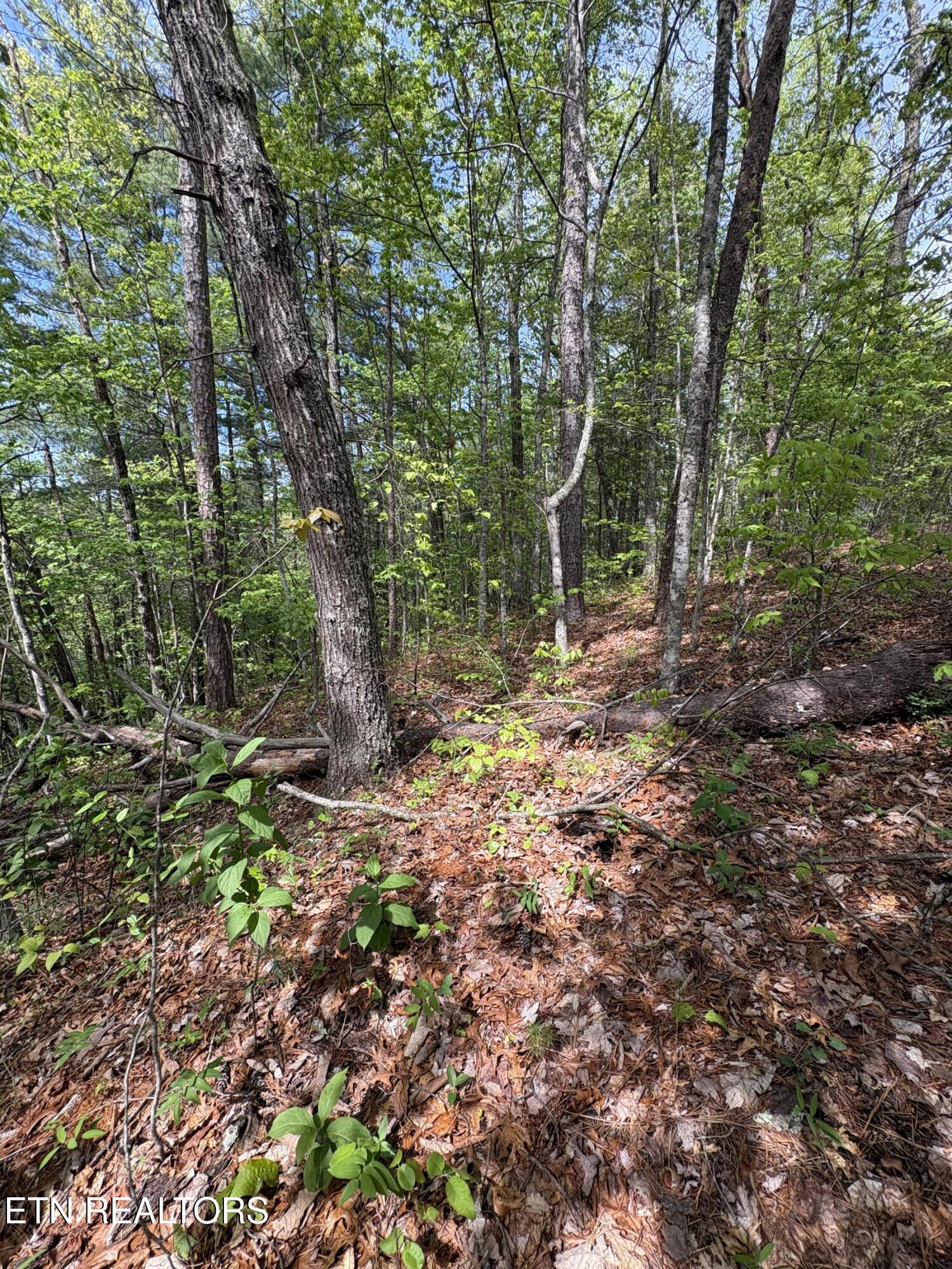 261 Mountain Retreat Road Townsend TN 37882