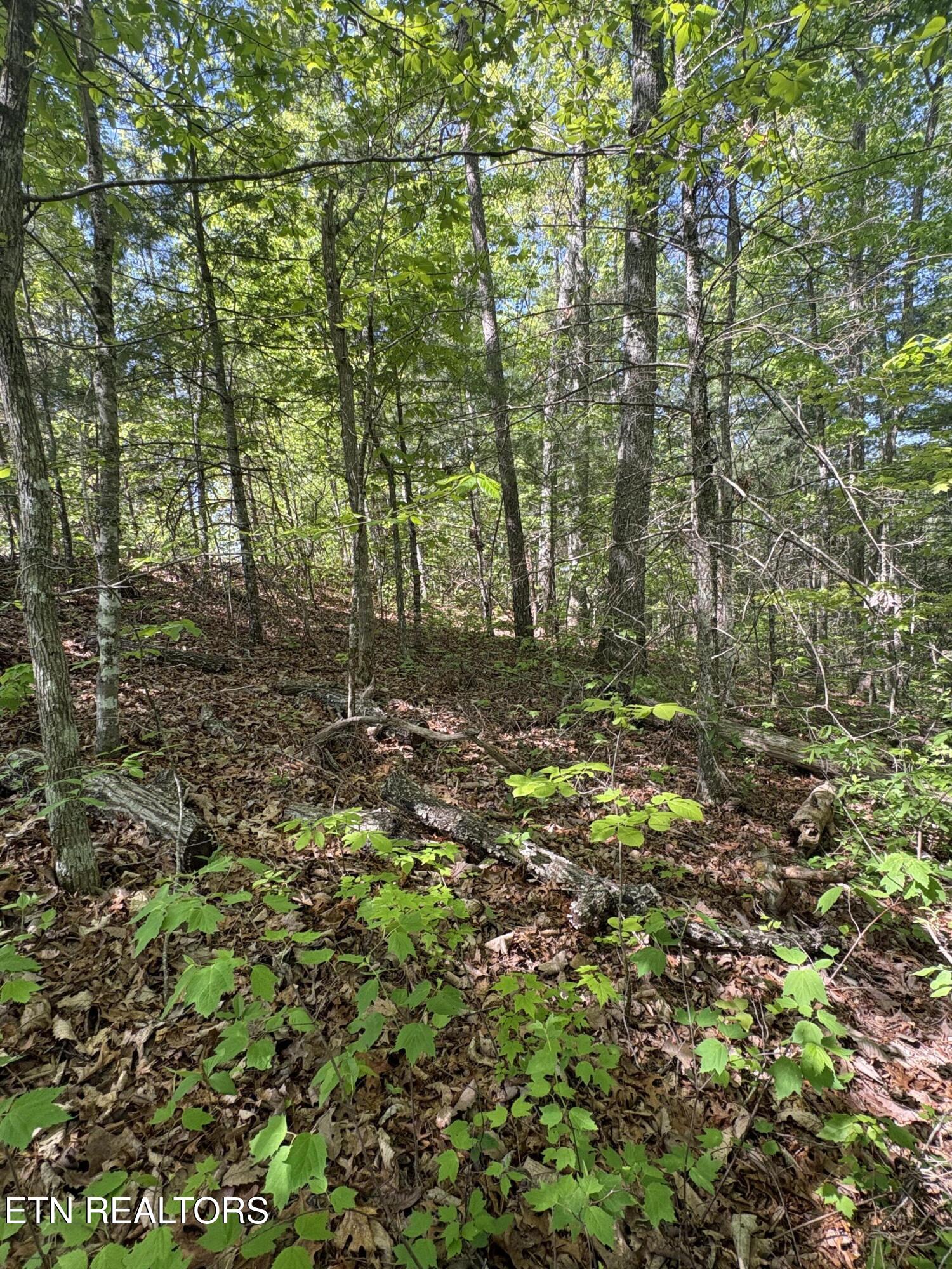 261 Mountain Retreat Road Townsend TN 37882