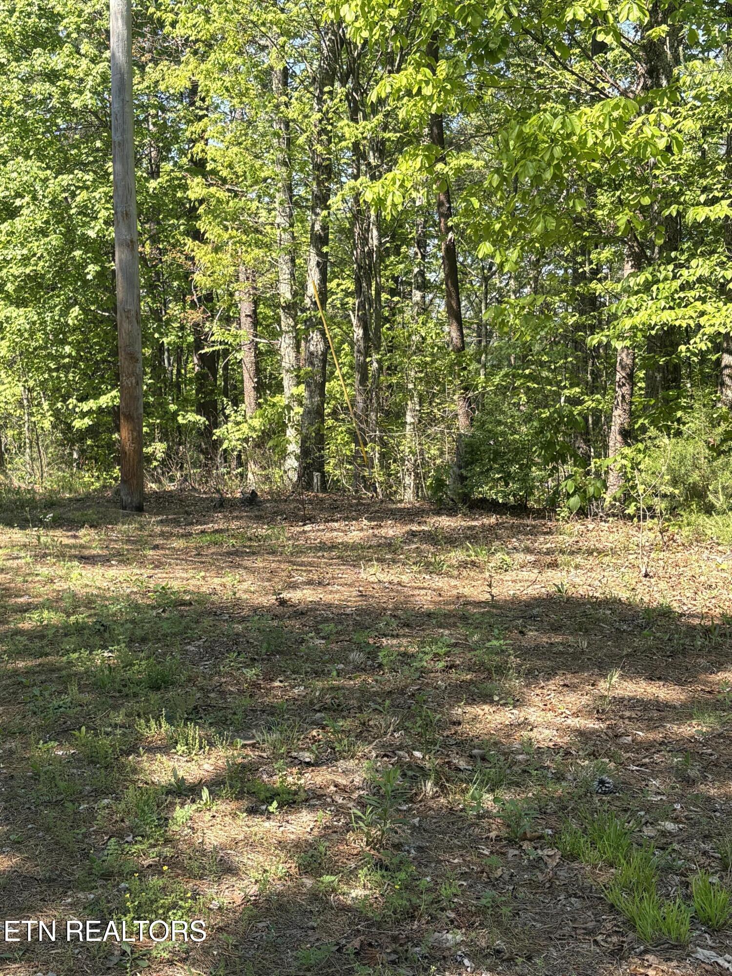 261 Mountain Retreat Road Townsend TN 37882
