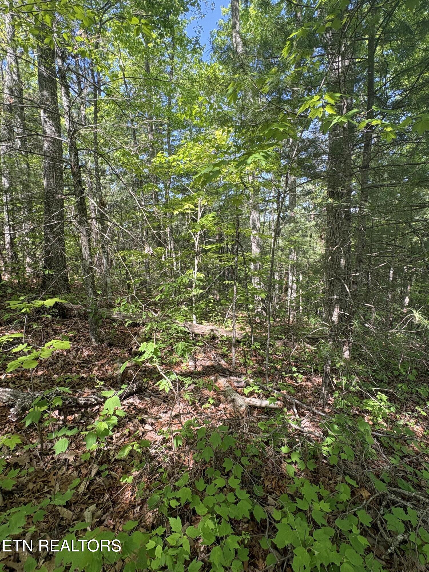 261 Mountain Retreat Road Townsend TN 37882