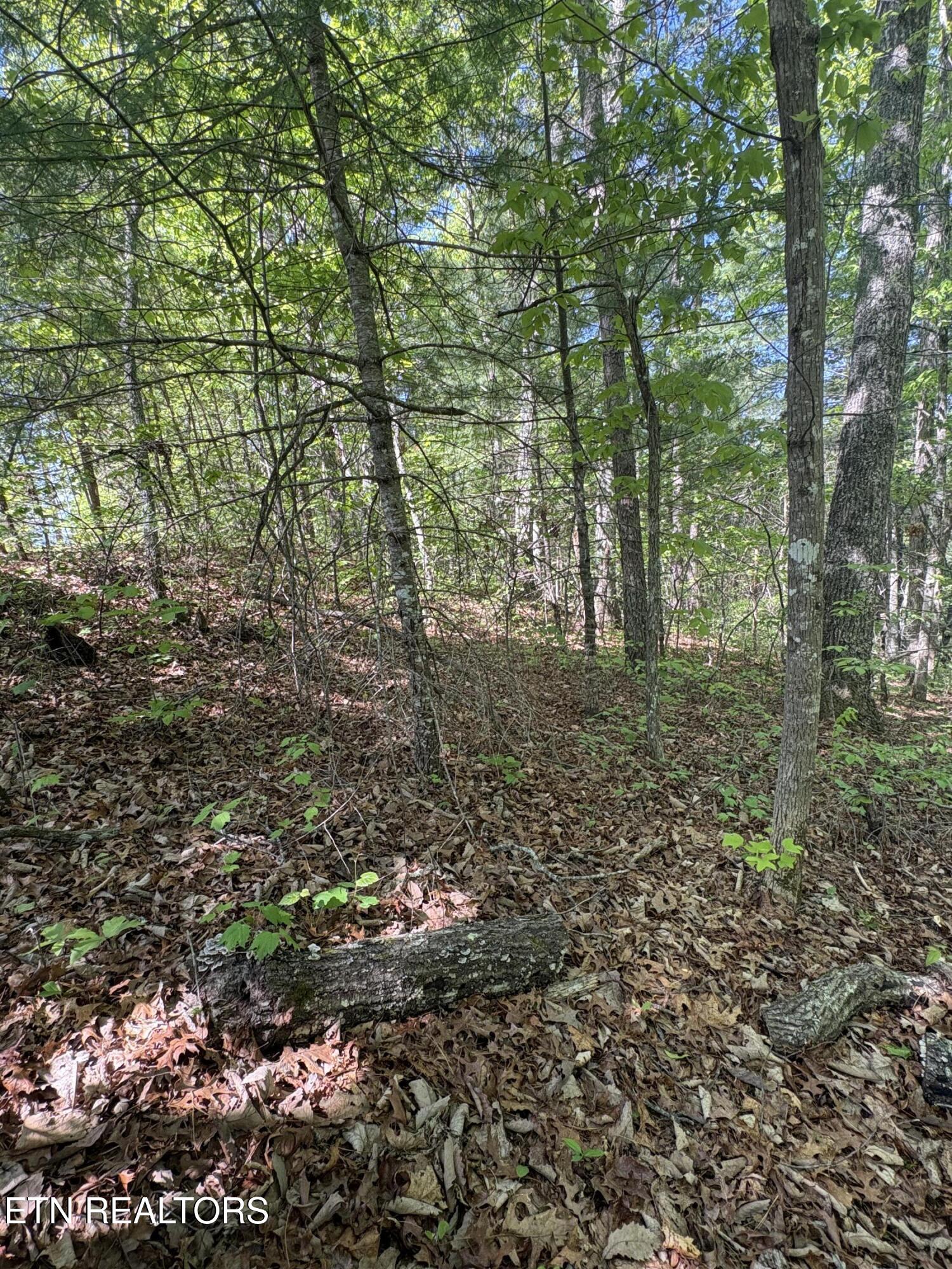 261 Mountain Retreat Road Townsend TN 37882
