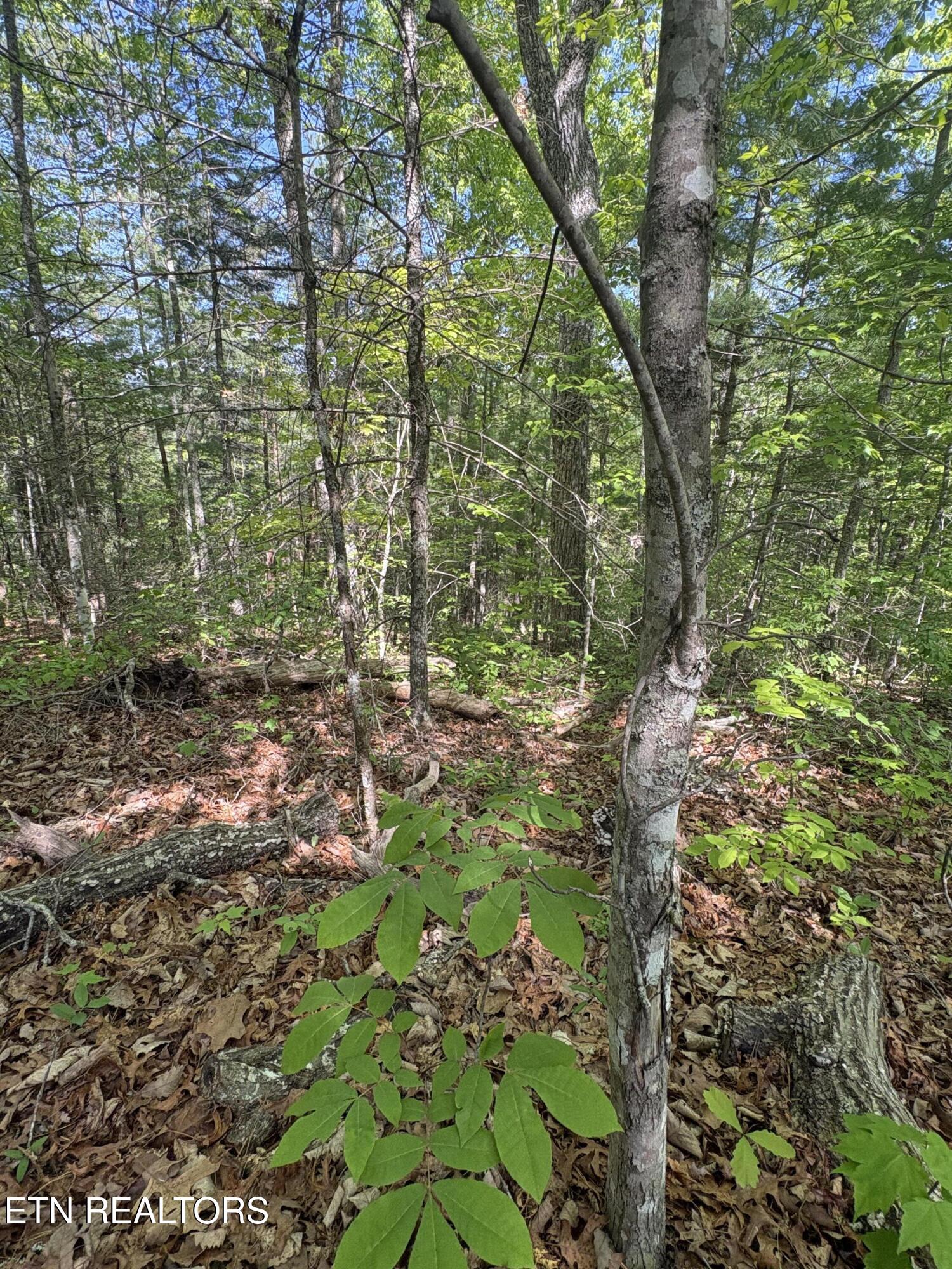 261 Mountain Retreat Road Townsend TN 37882