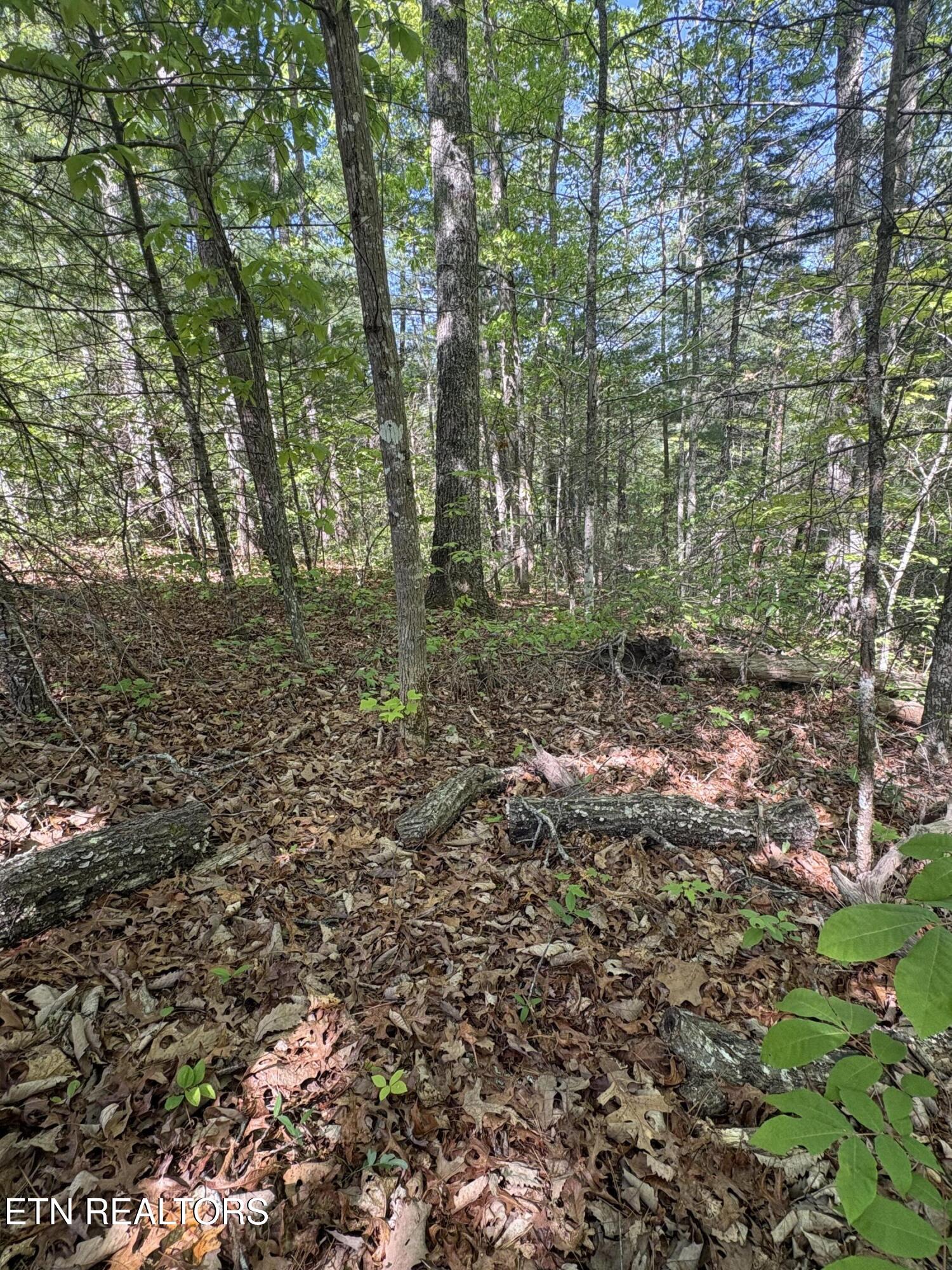 261 Mountain Retreat Road Townsend TN 37882