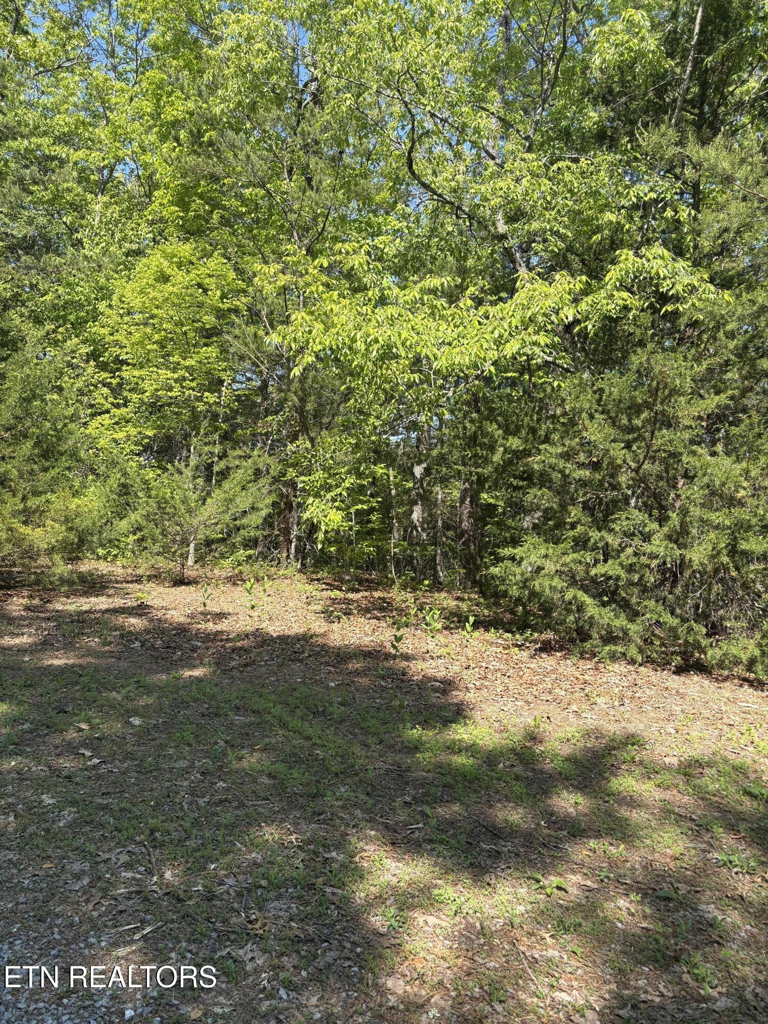 261 Mountain Retreat Road Townsend TN 37882