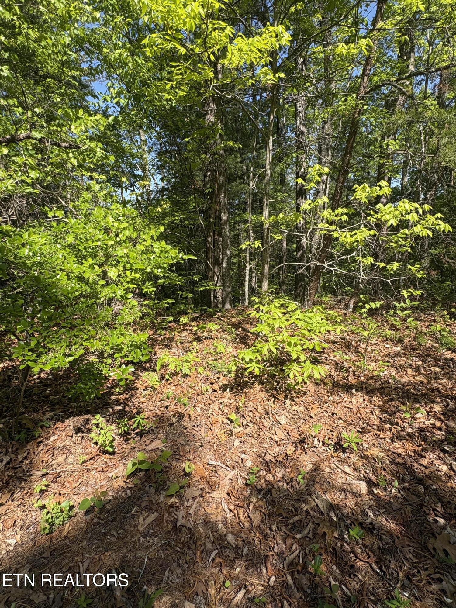 261 Mountain Retreat Road Townsend TN 37882