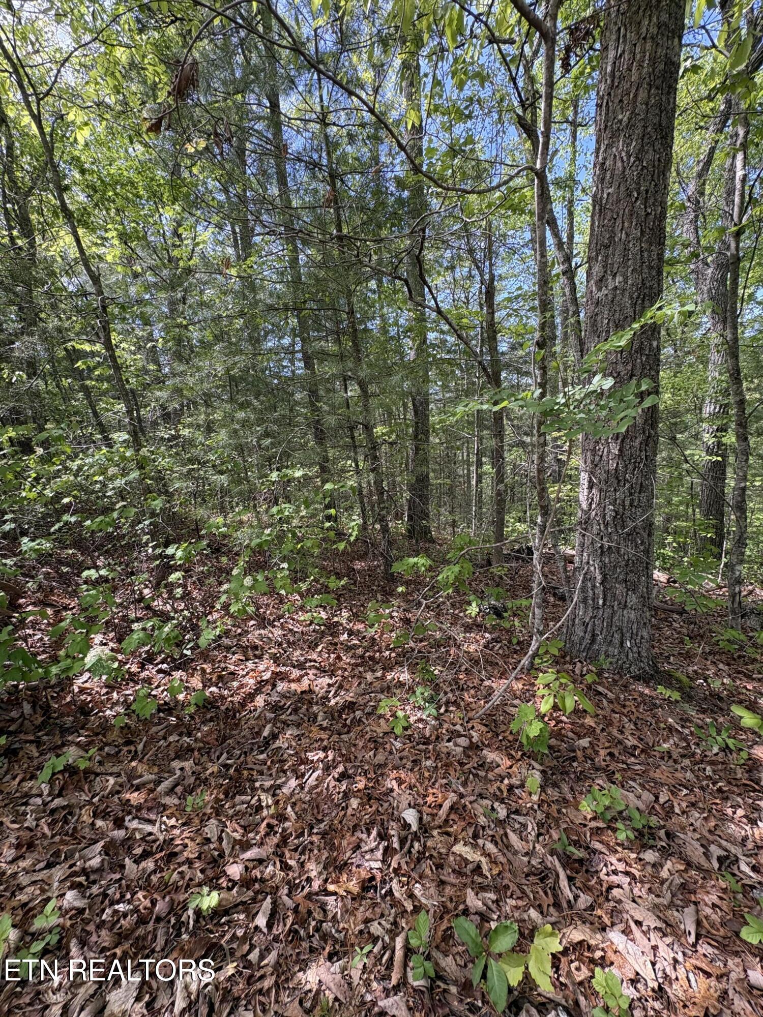 261 Mountain Retreat Road Townsend TN 37882