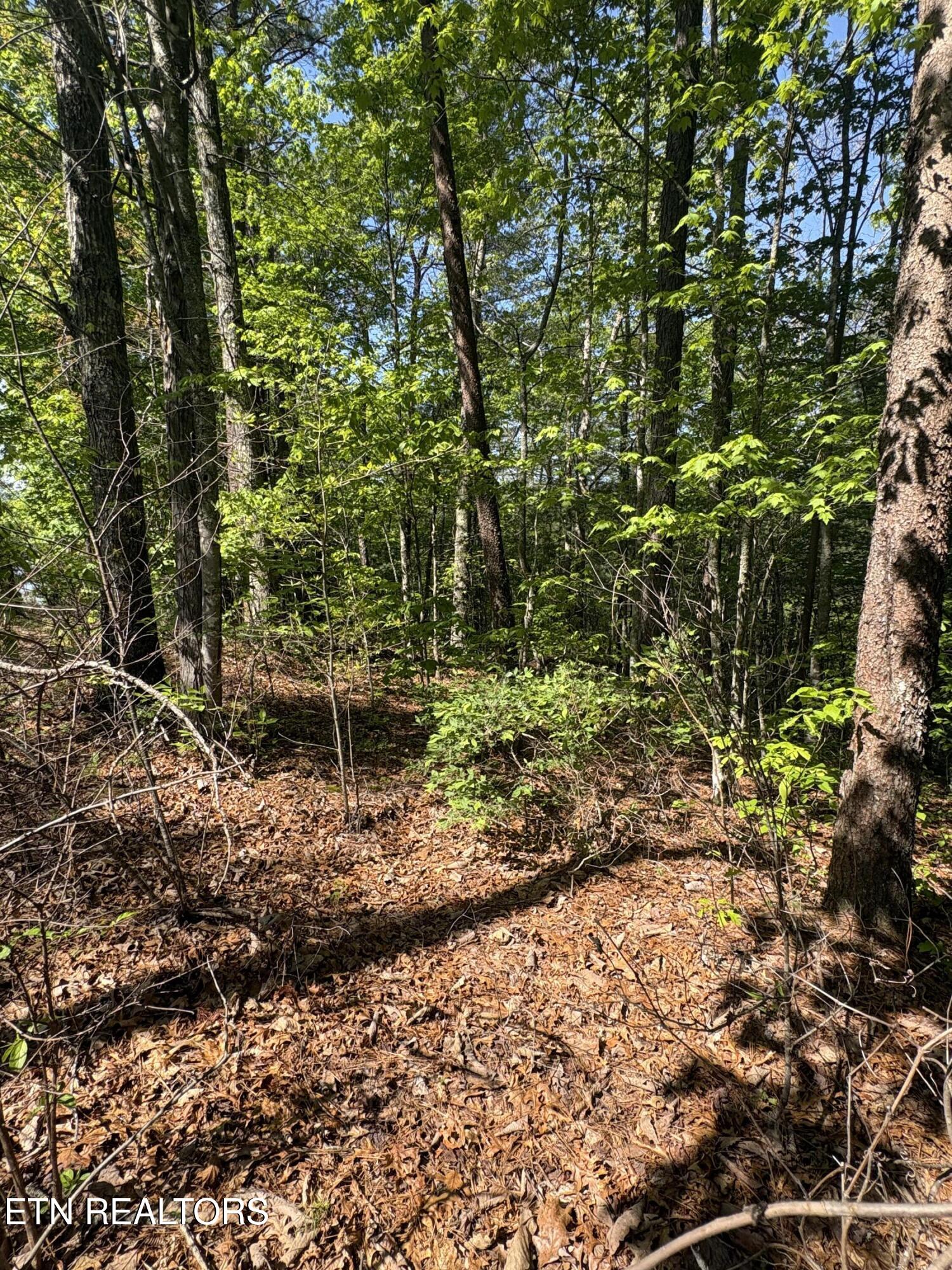261 Mountain Retreat Road Townsend TN 37882