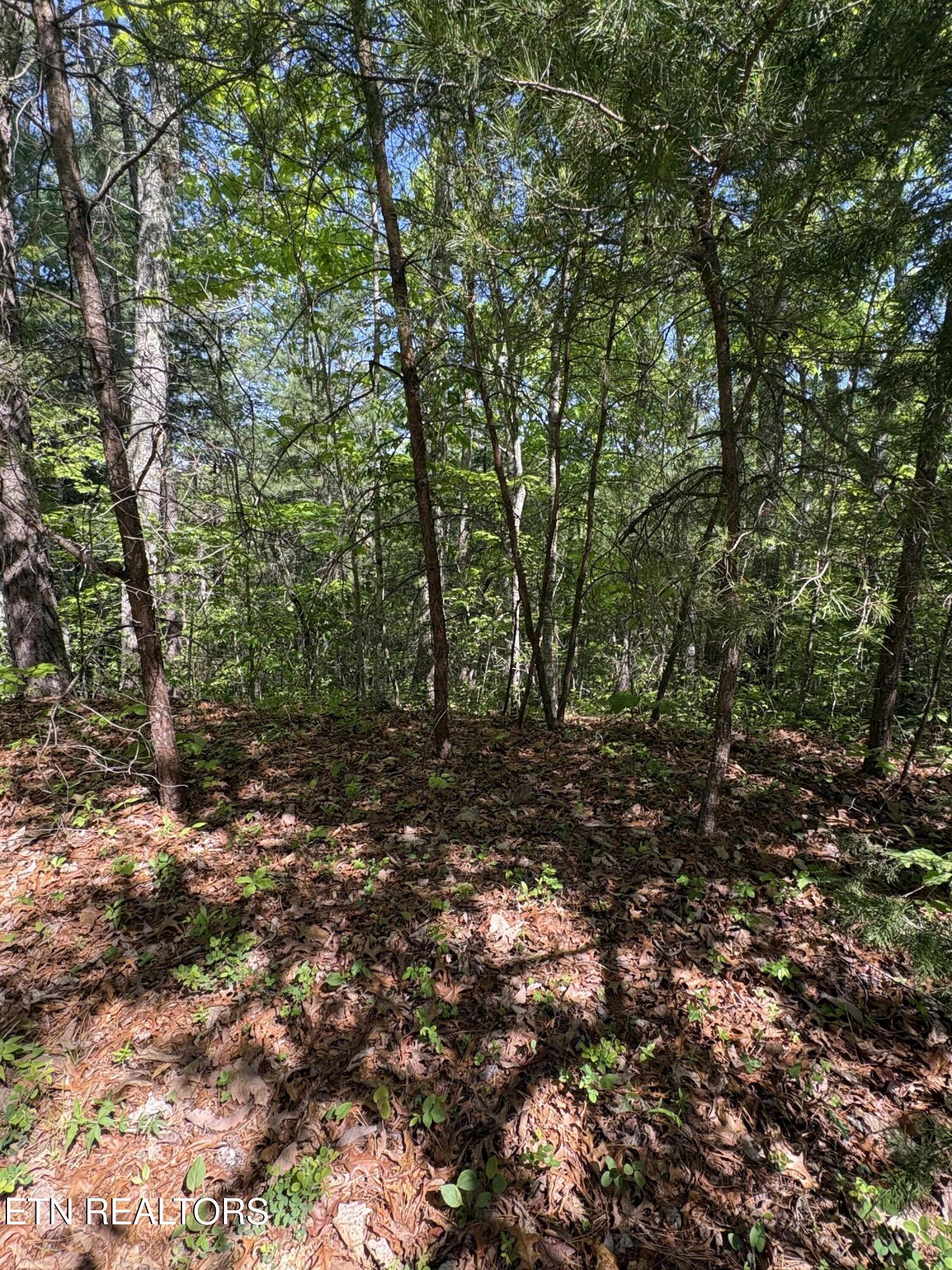 261 Mountain Retreat Road Townsend TN 37882