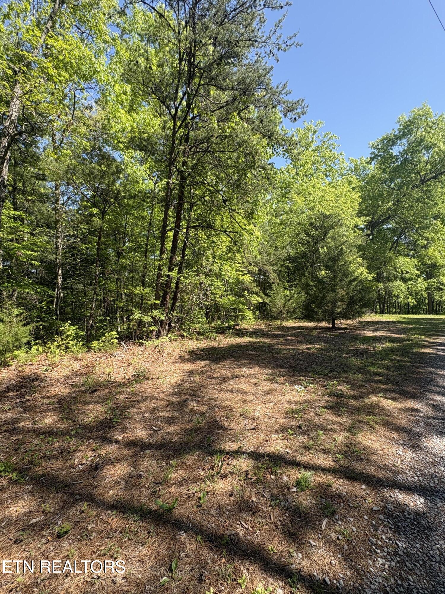 261 Mountain Retreat Road Townsend TN 37882