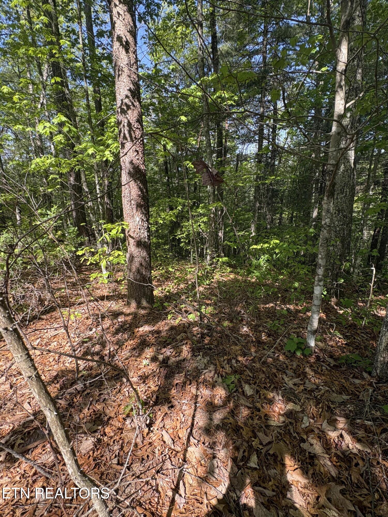 261 Mountain Retreat Road Townsend TN 37882