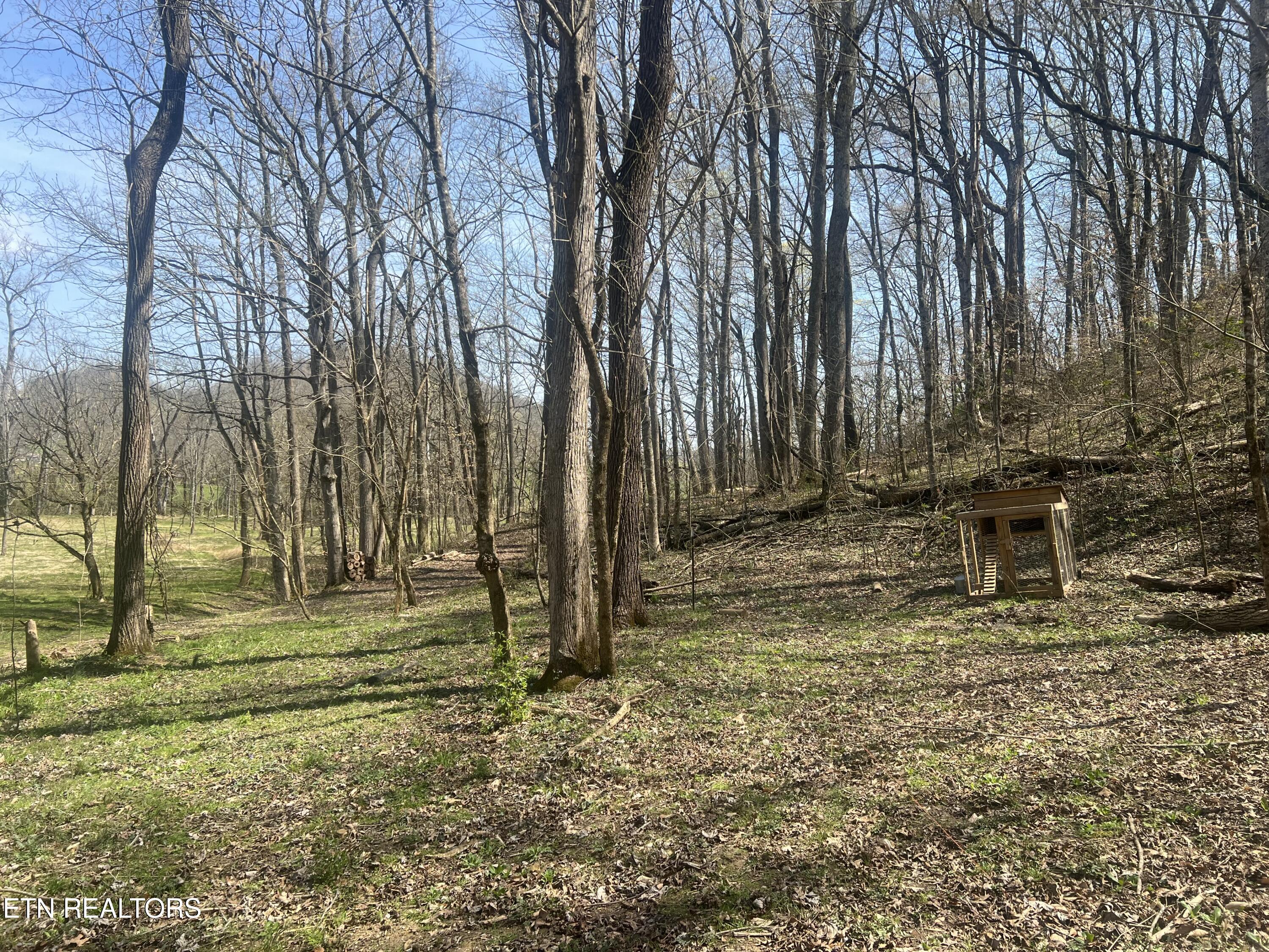 5336 Idumea Road Corryton TN 37721