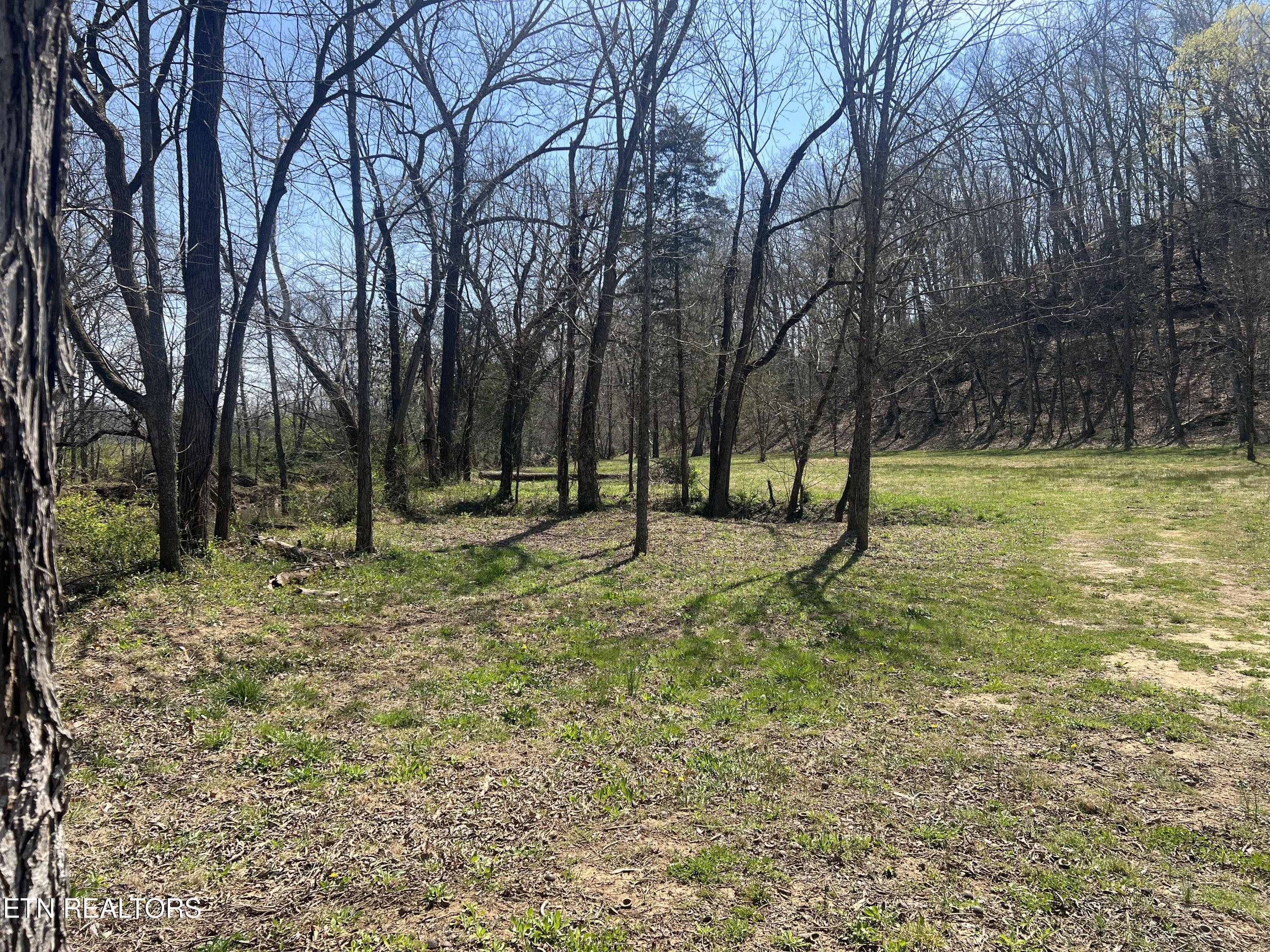 5336 Idumea Road Corryton TN 37721