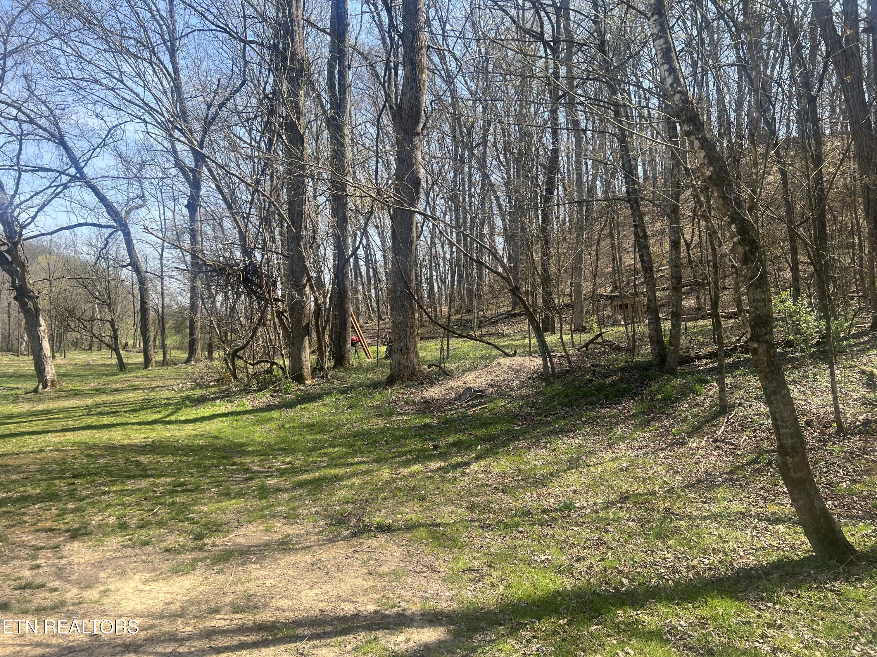5336 Idumea Road Corryton TN 37721