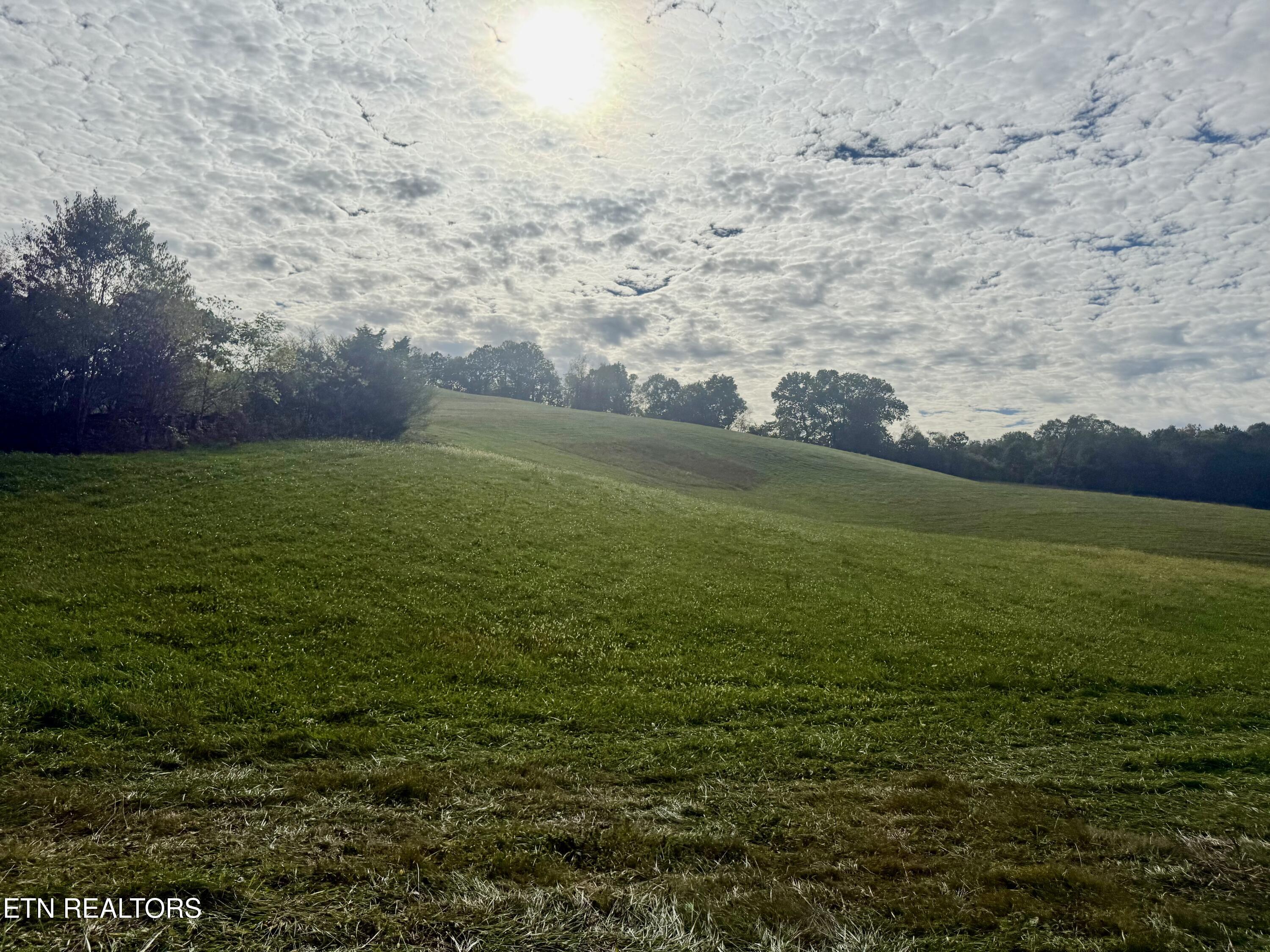 Harmon Road New Tazewell TN 37825
