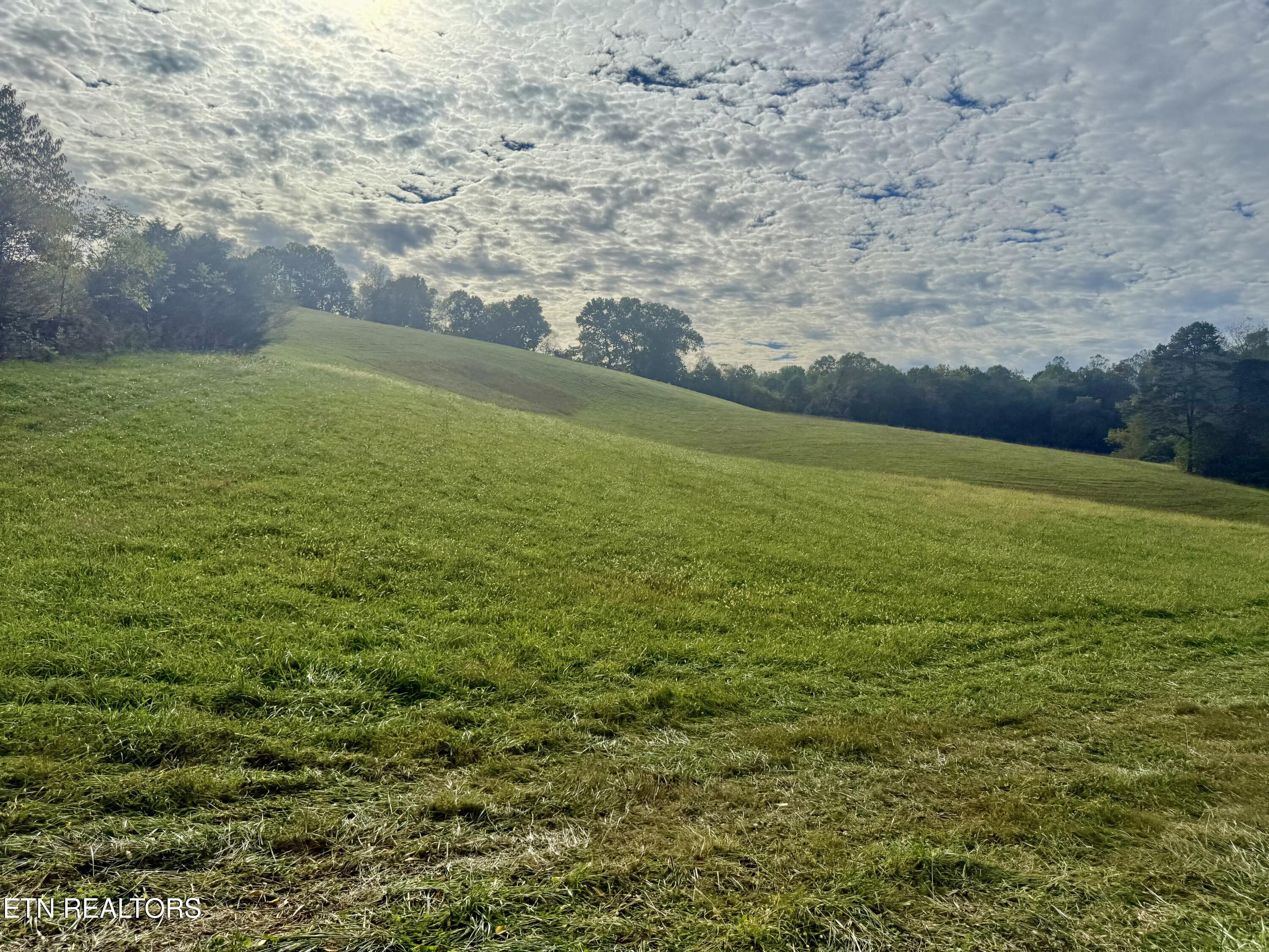 Harmon Road New Tazewell TN 37825