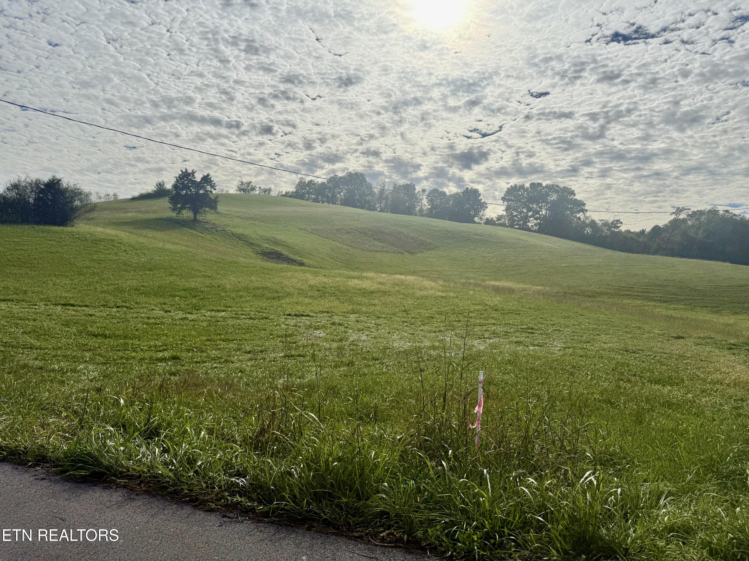 Harmon Road New Tazewell TN 37825