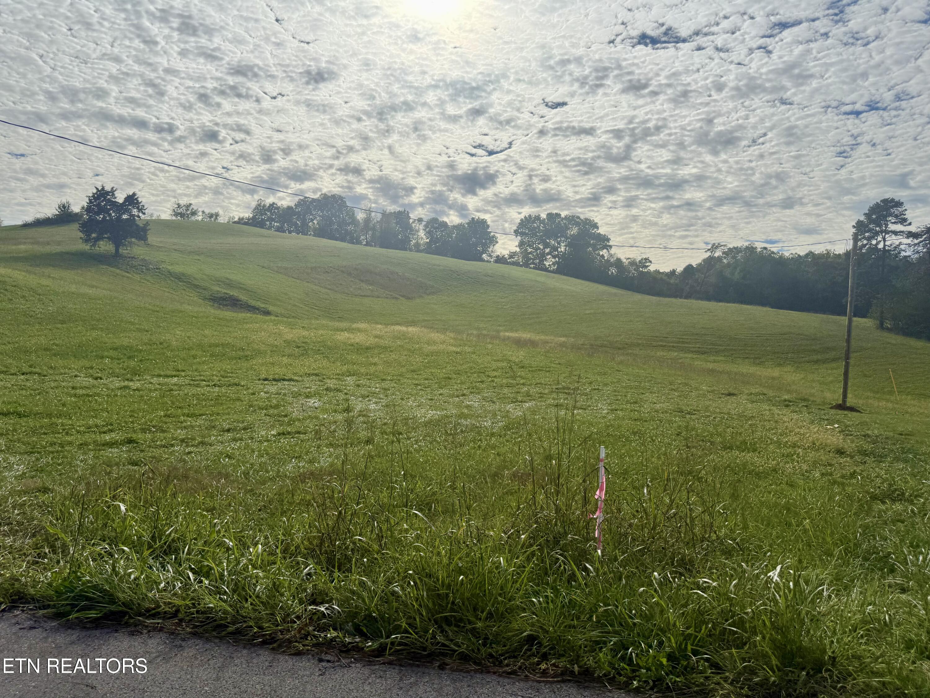 Harmon Road New Tazewell TN 37825