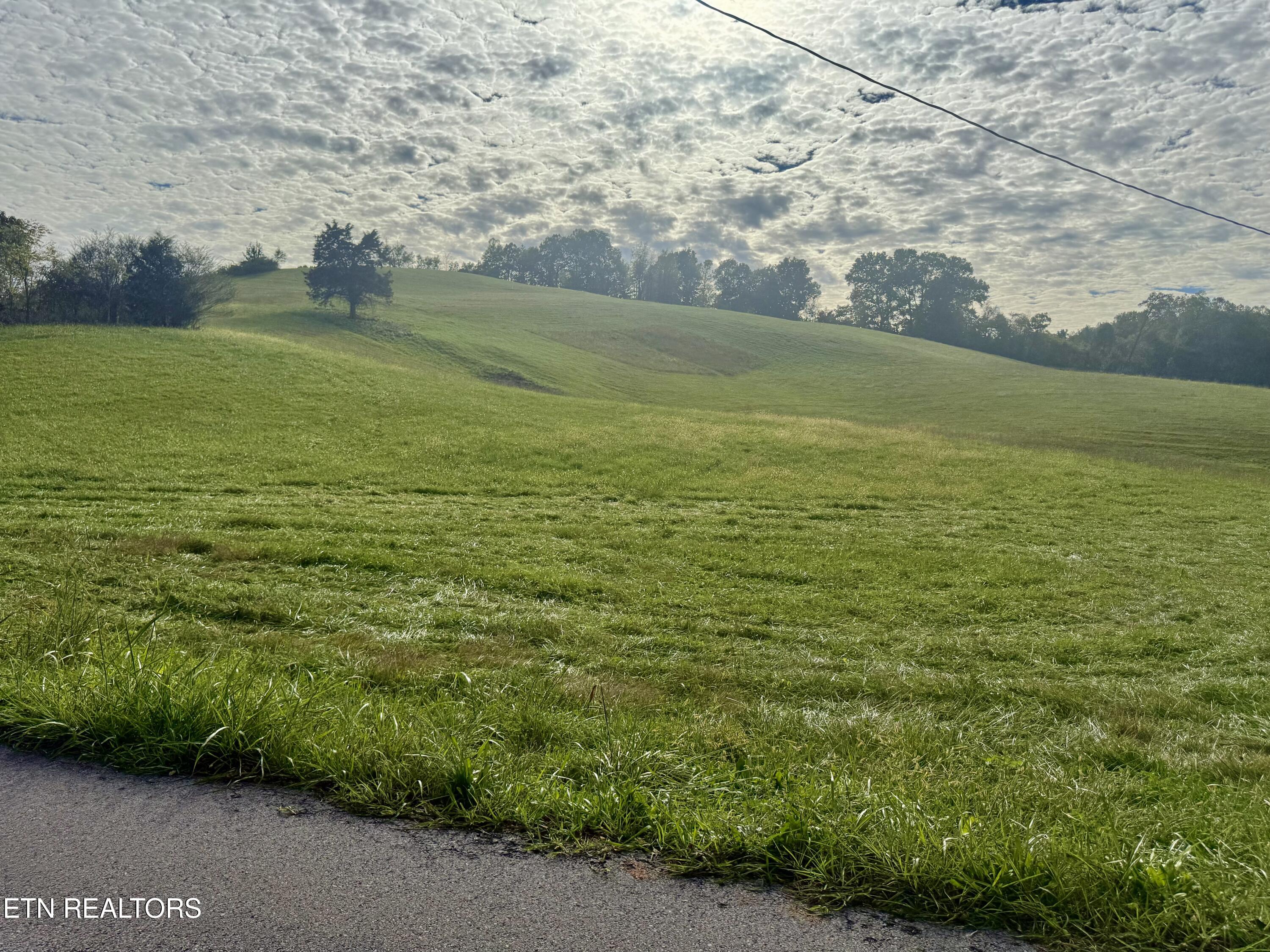 Harmon Road New Tazewell TN 37825
