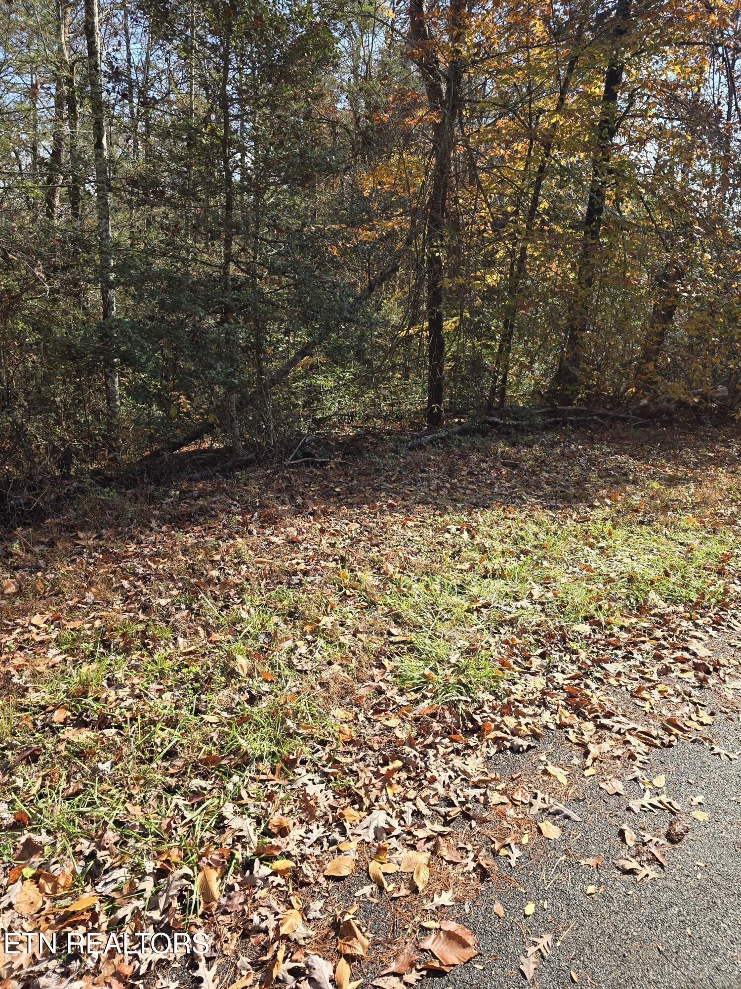 Montevallo Road Sevierville TN 37876