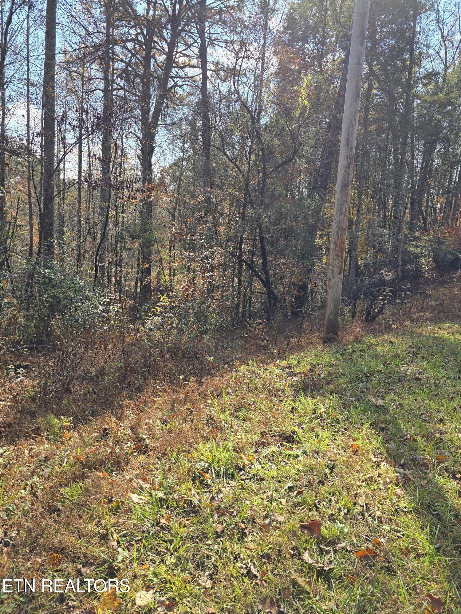Montevallo Road Sevierville TN 37876