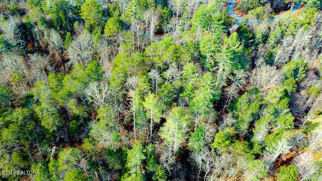Montevallo Road Sevierville TN 37876