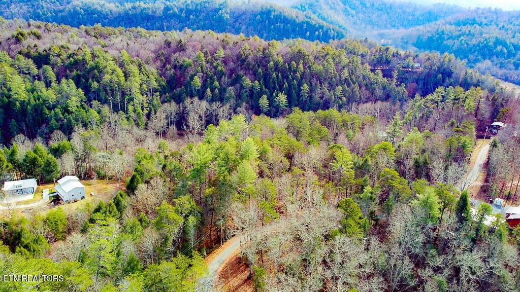 Montevallo Road Sevierville TN 37876