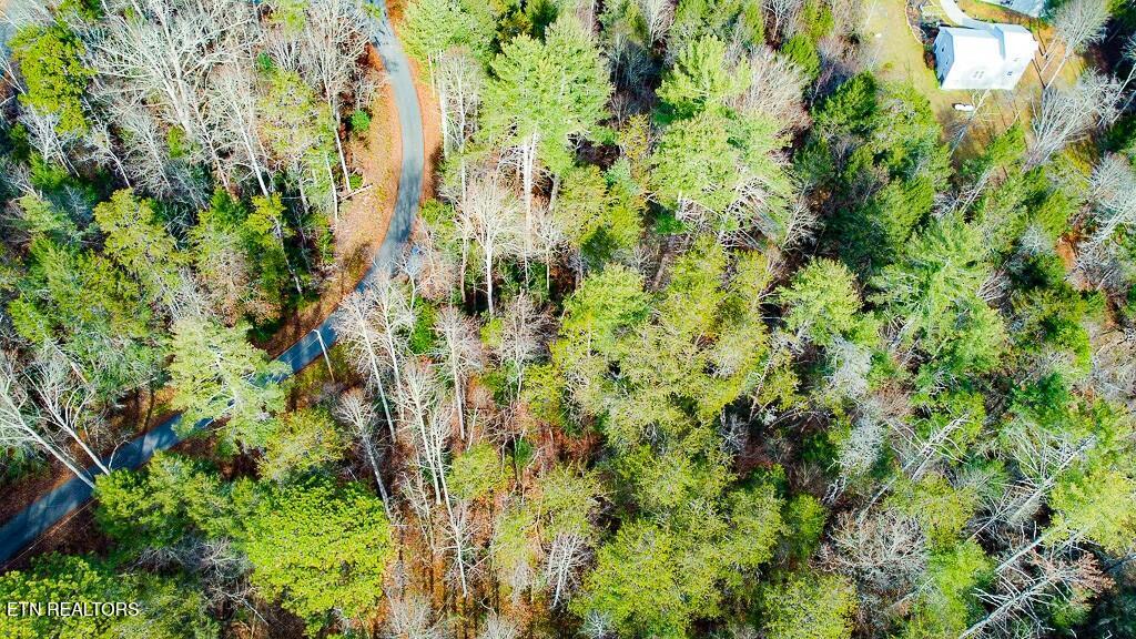 Montevallo Road Sevierville TN 37876