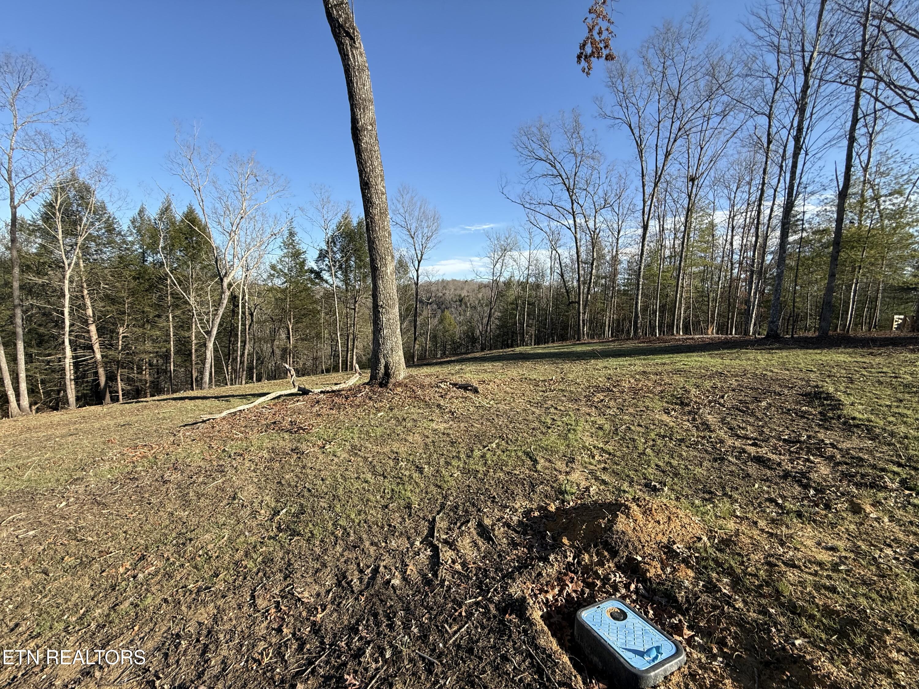 20 Bluff View Allardt TN 38504
