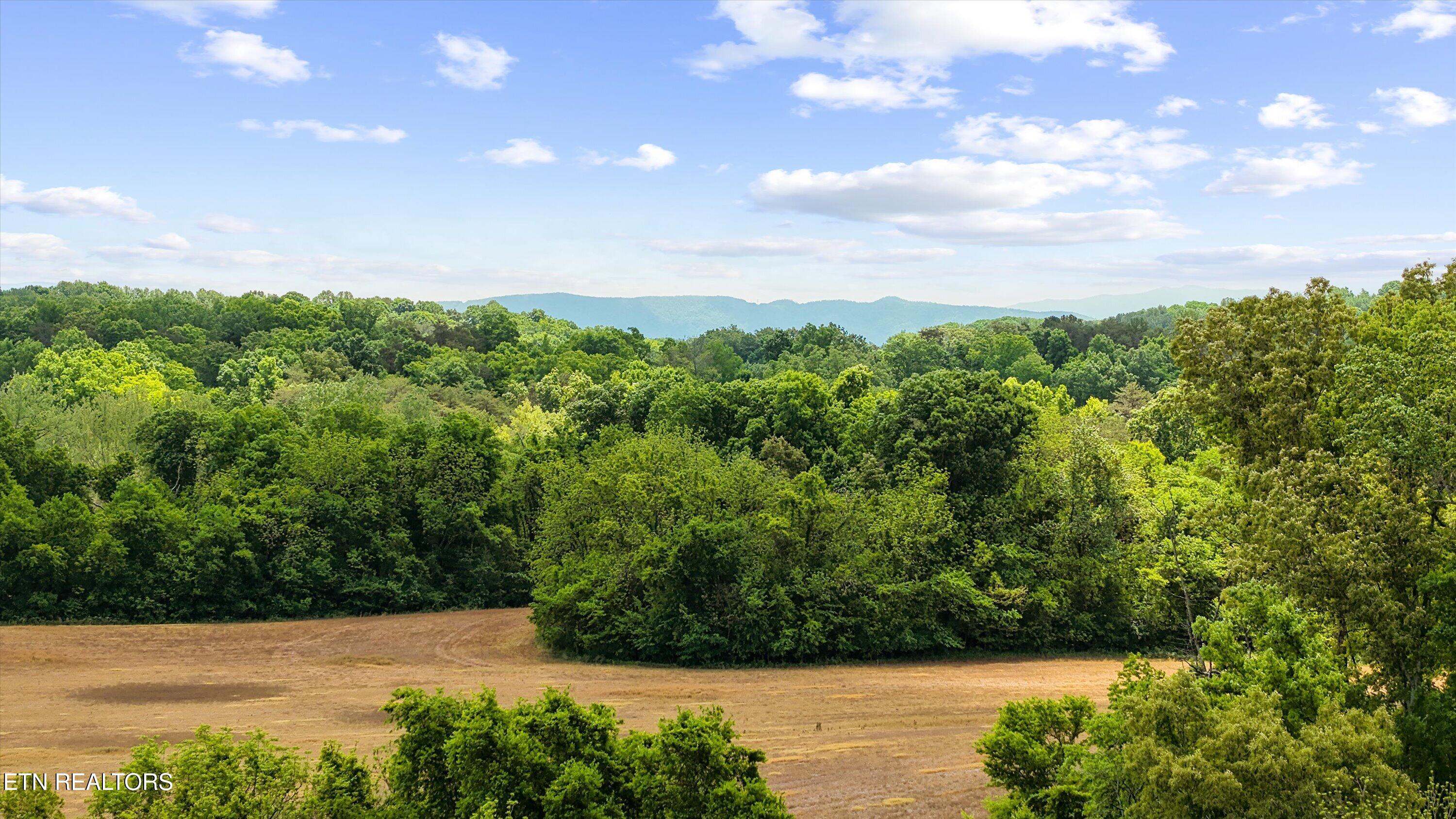3245 W Lamar Alex Parkway Friendsville TN 37737