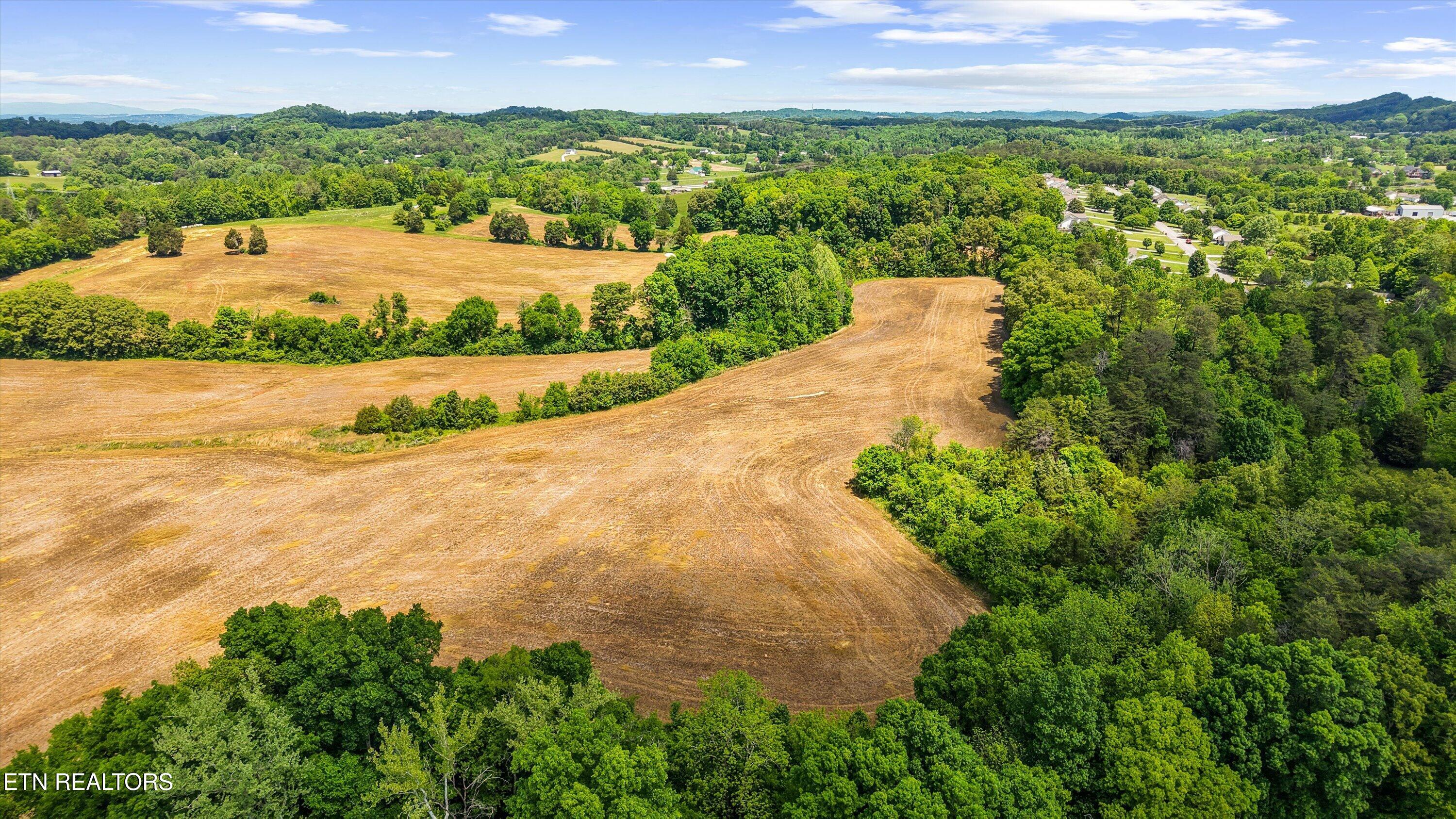 3245 W Lamar Alex Parkway Friendsville TN 37737