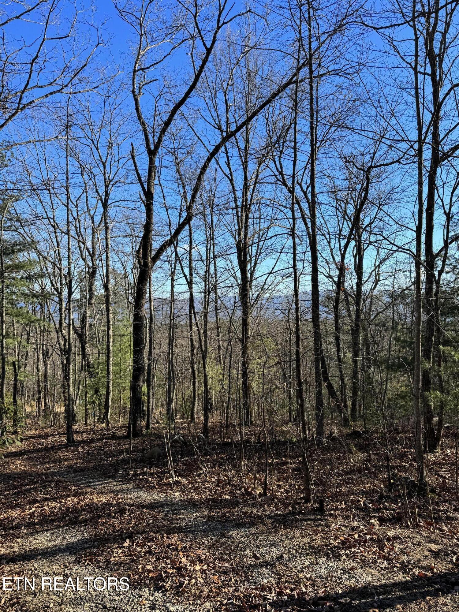 6838 Flats Road Tallassee TN 37878