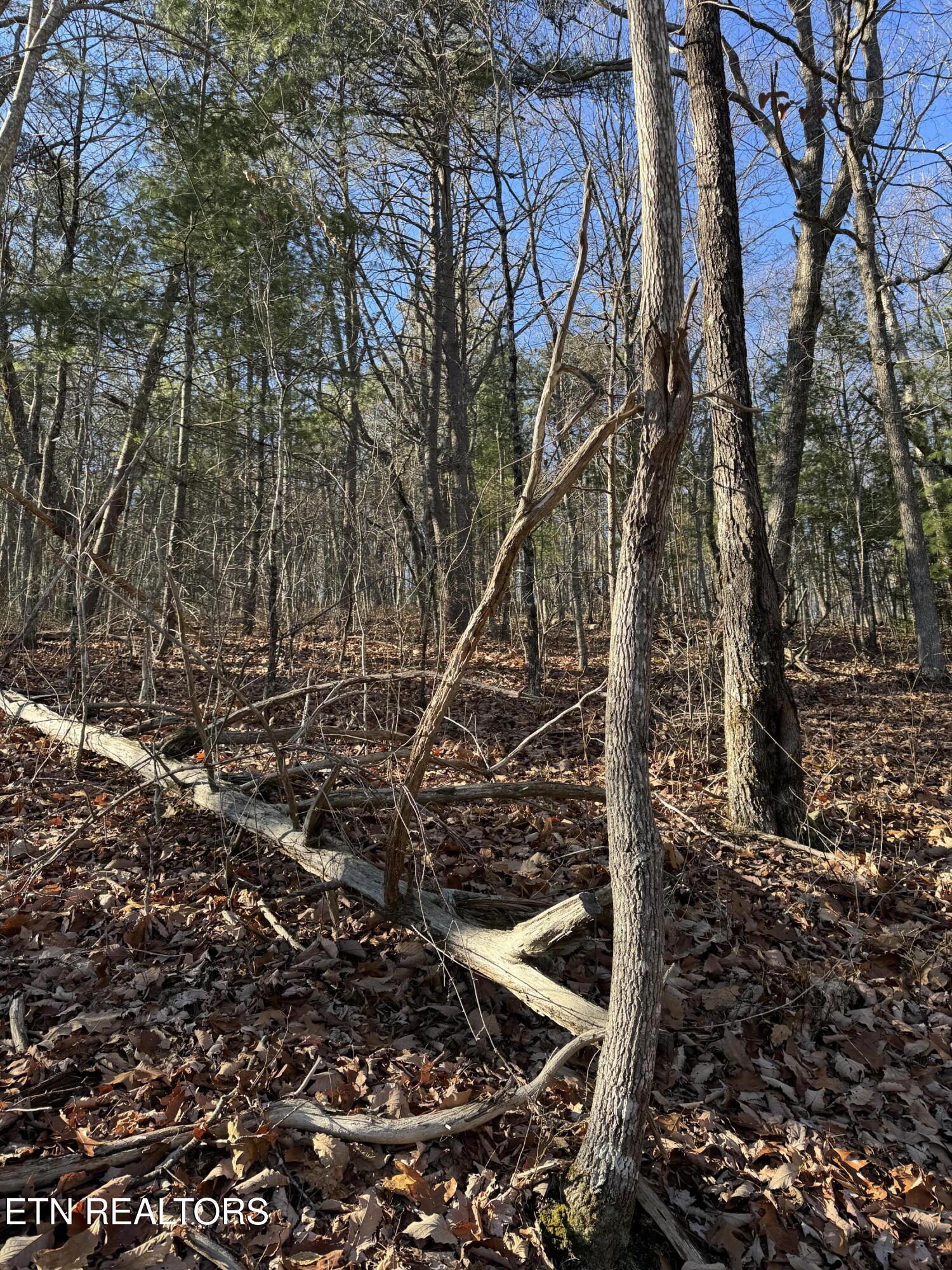6838 Flats Road Tallassee TN 37878